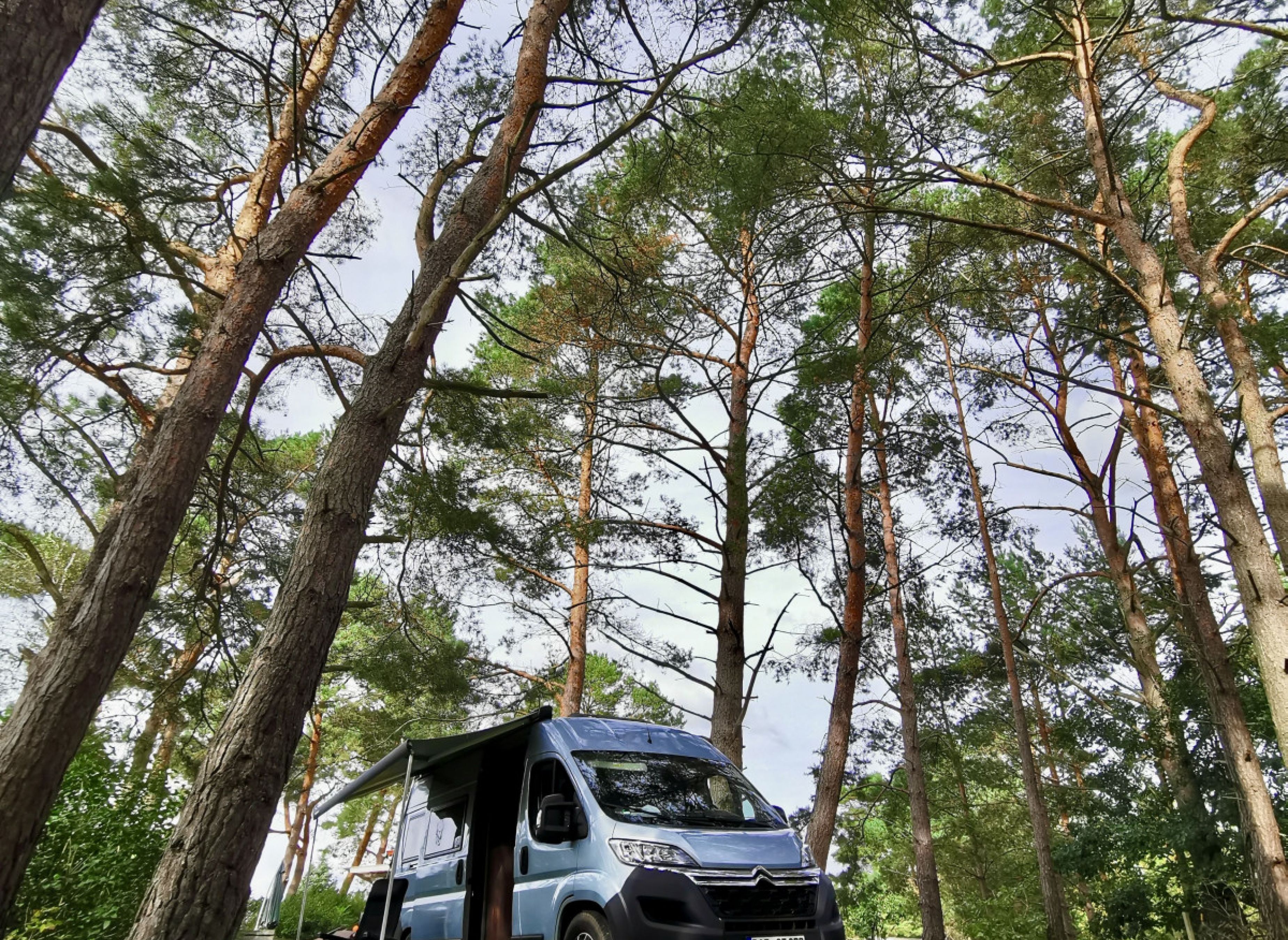 Klein Trebbow in Waldrandlage