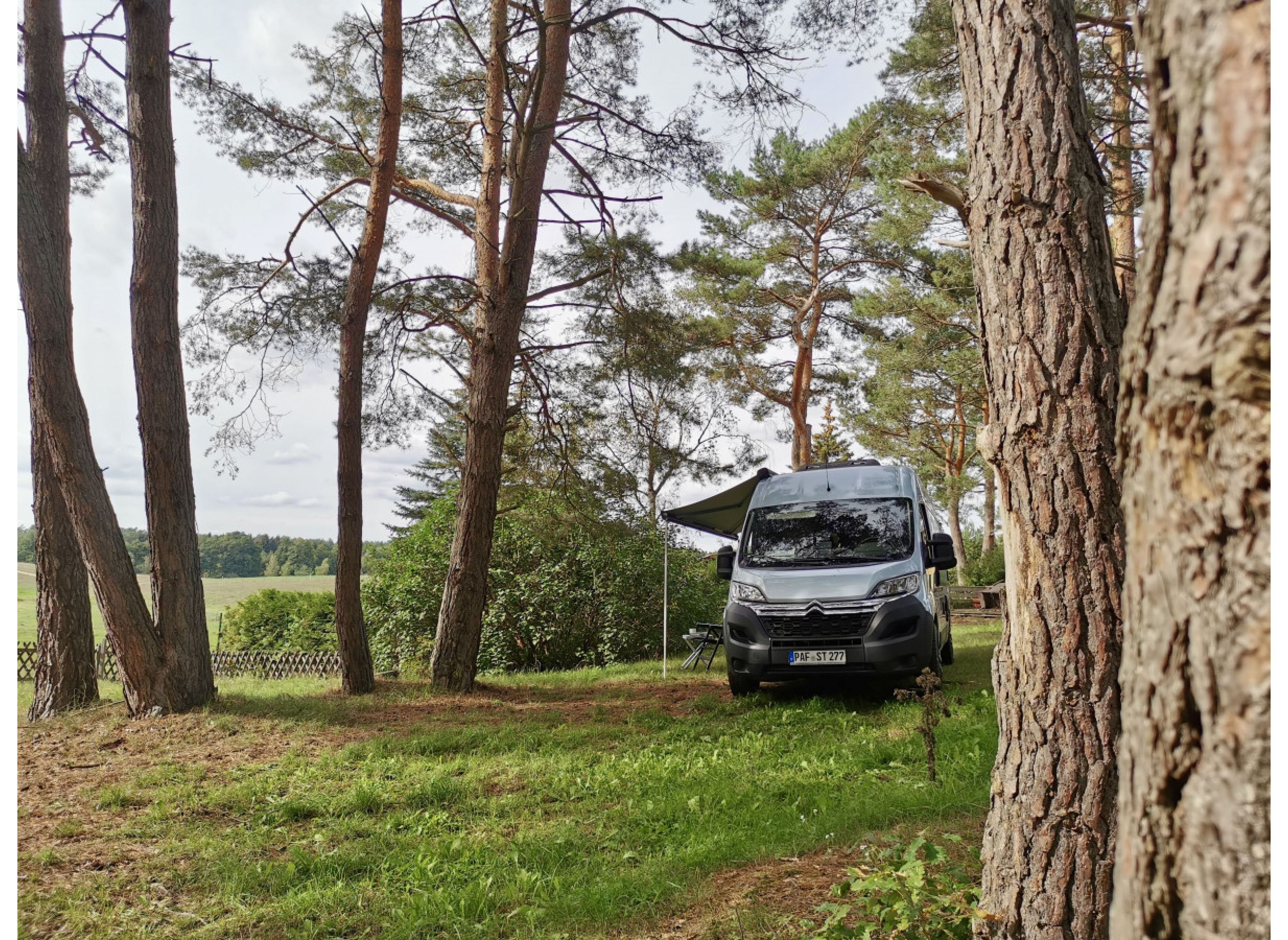 Klein Trebbow in Waldrandlage — Photo 2