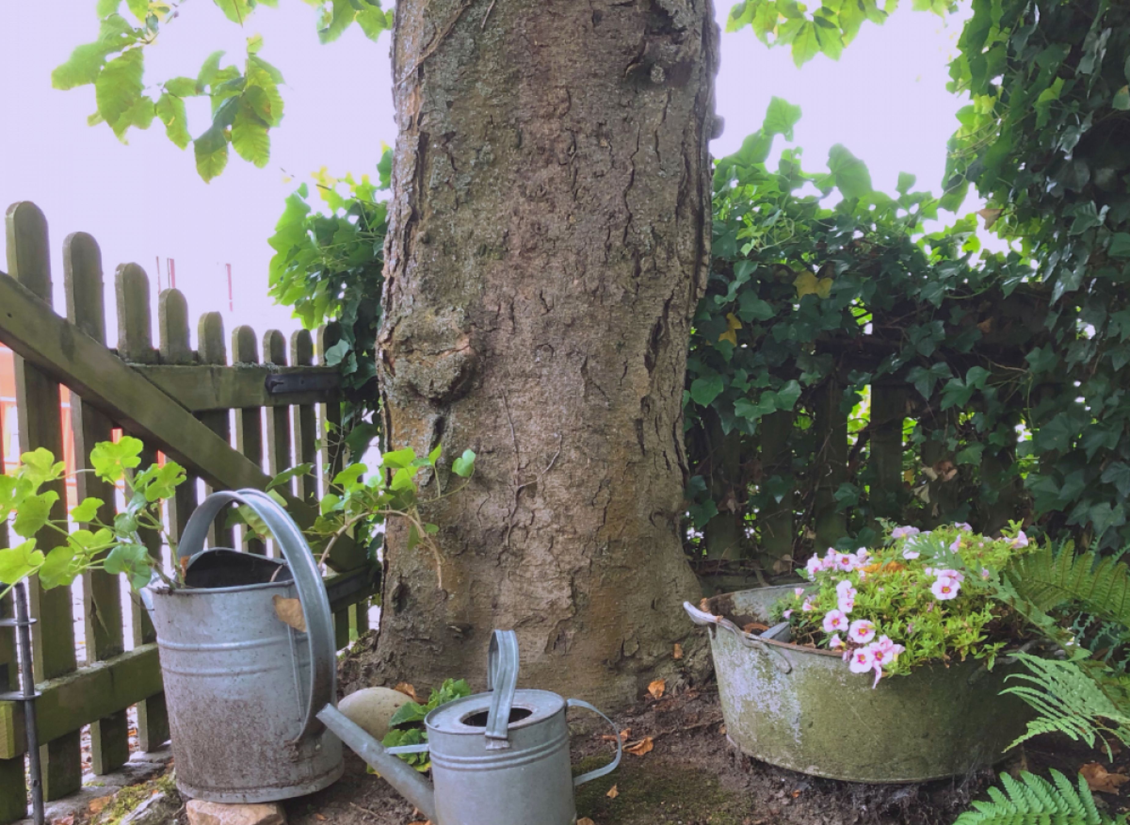 Alte Dorfschule - Unter dem Kastanienbaum