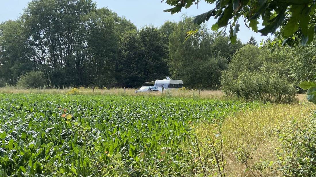 Stellplatz in der Wiese — Photo 4