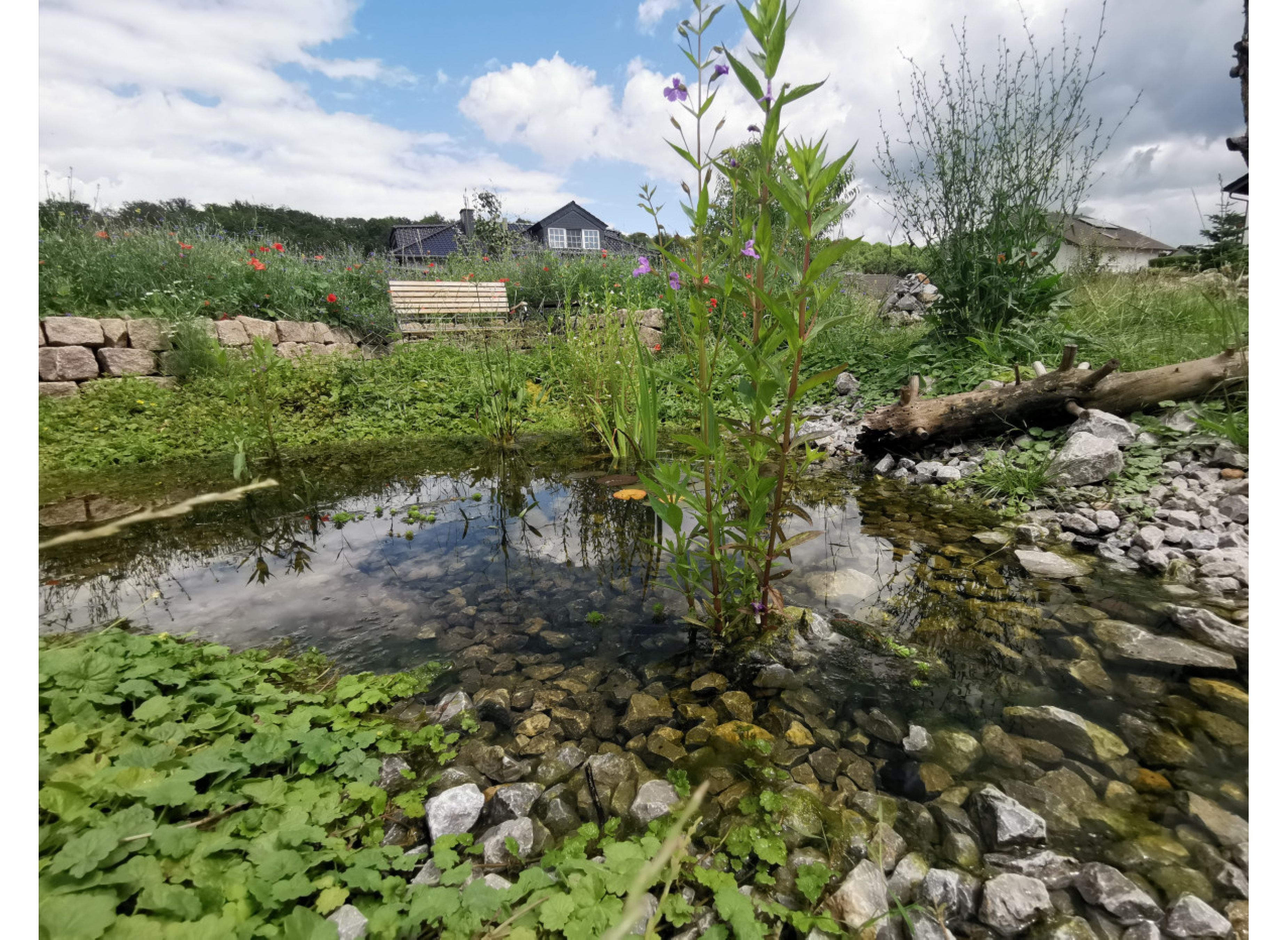 camping im naturgarten westerwald — Photo 3