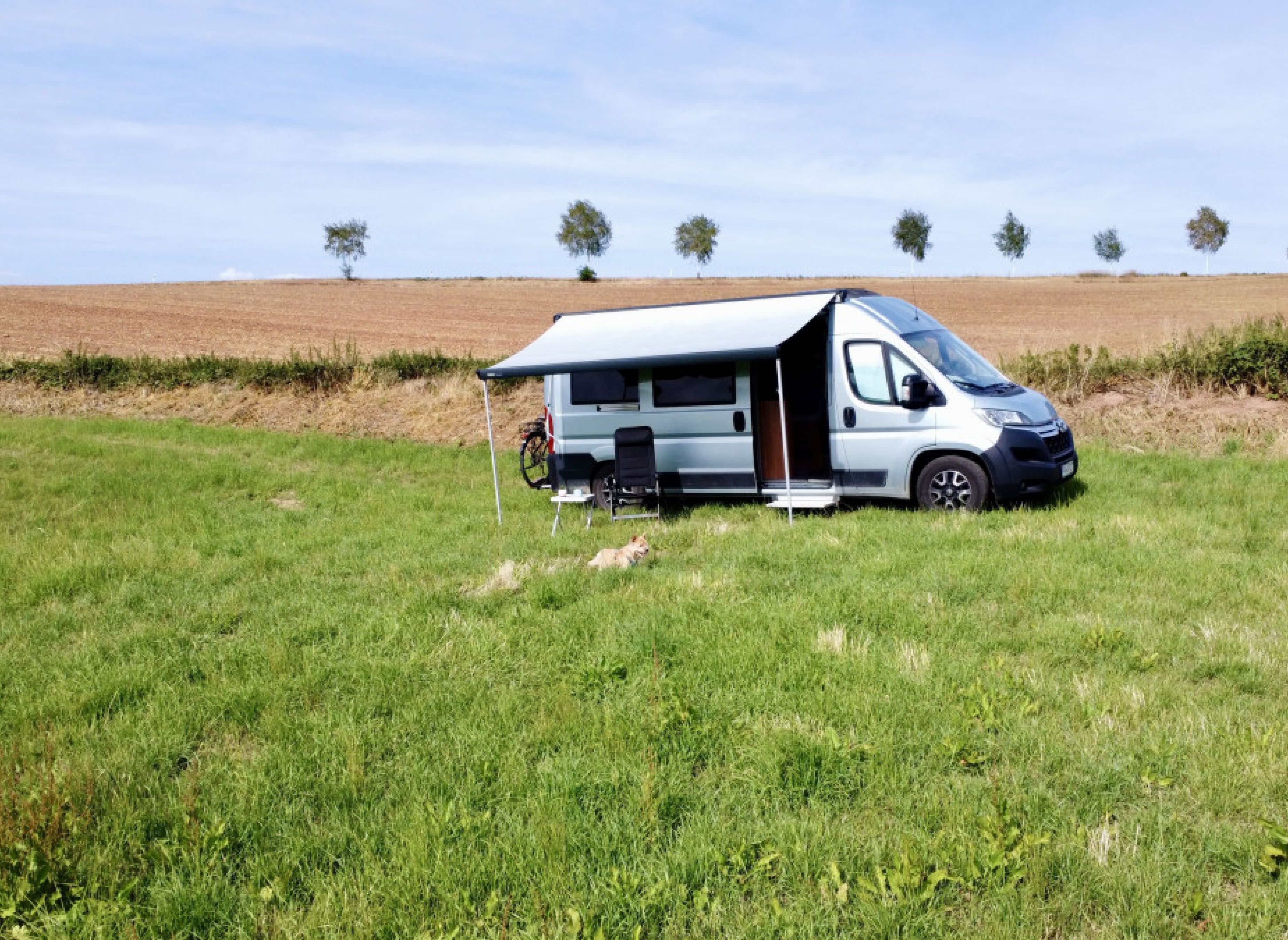 Stellplatz in herrlicher Tallage mit Blick auf Wiesenterrassen und Waldung #2