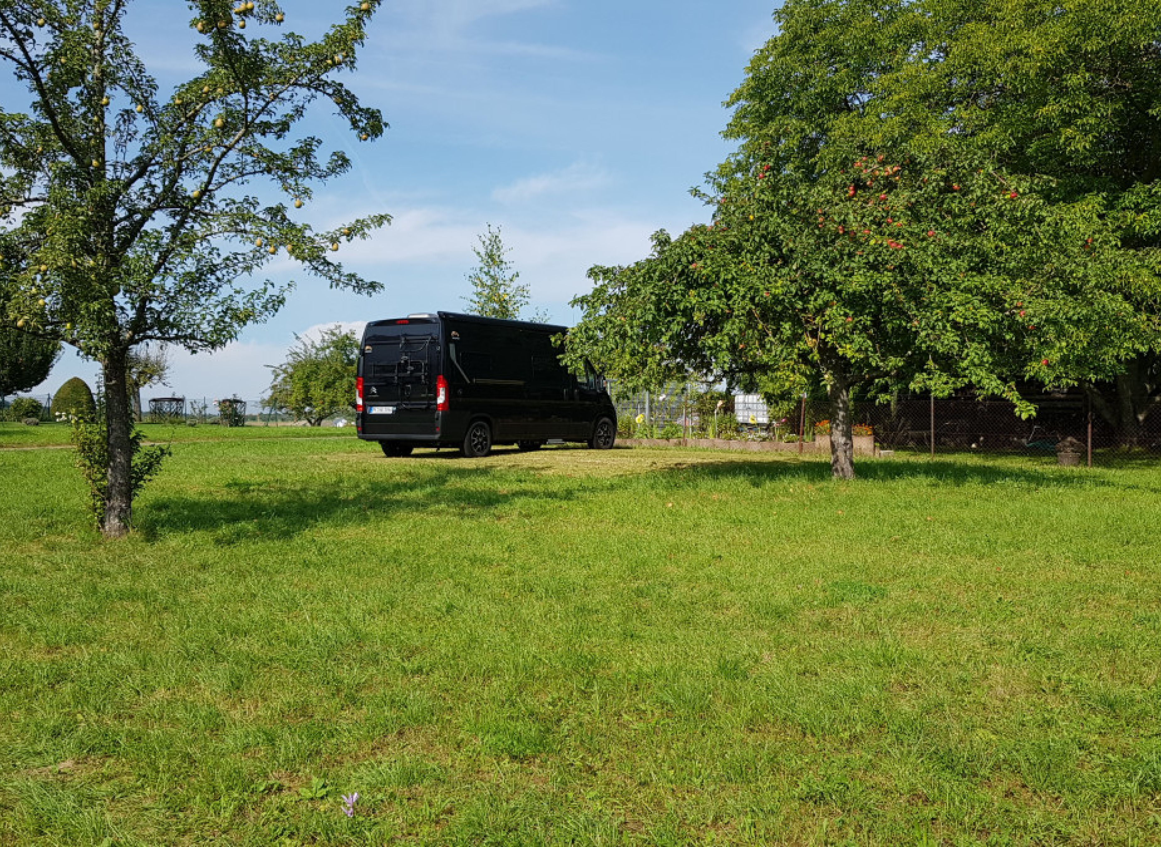 Streuobstwiese im Heckengäu — Photo 2