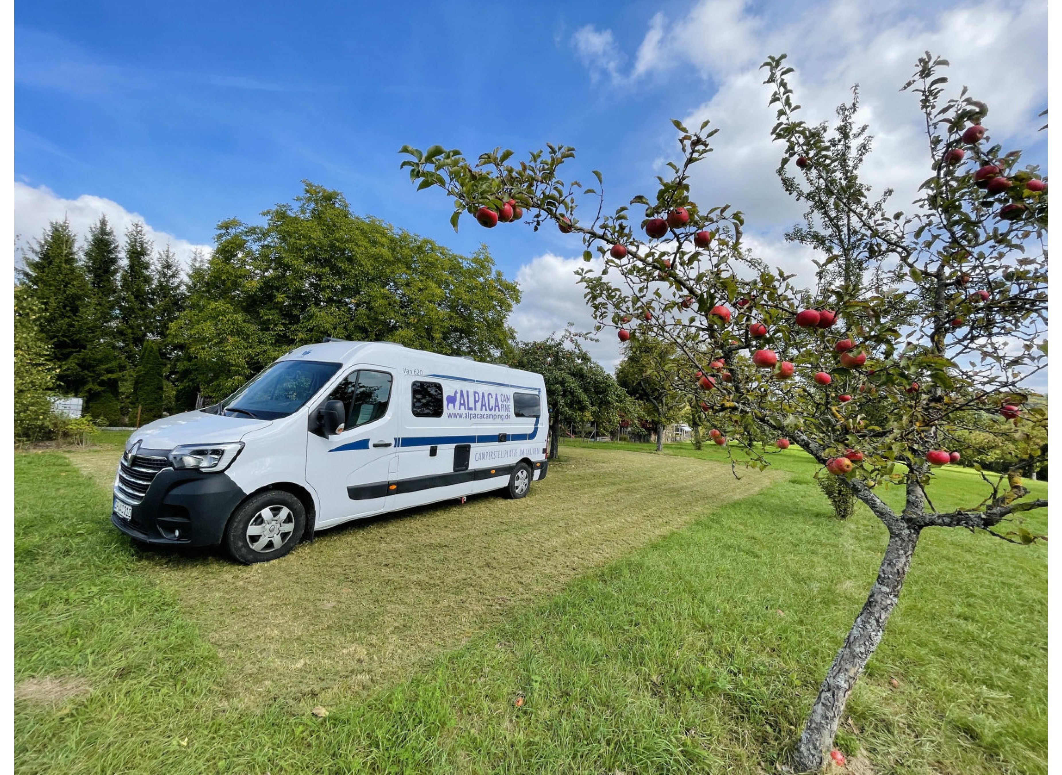 Streuobstwiese im Heckengäu — Photo 3