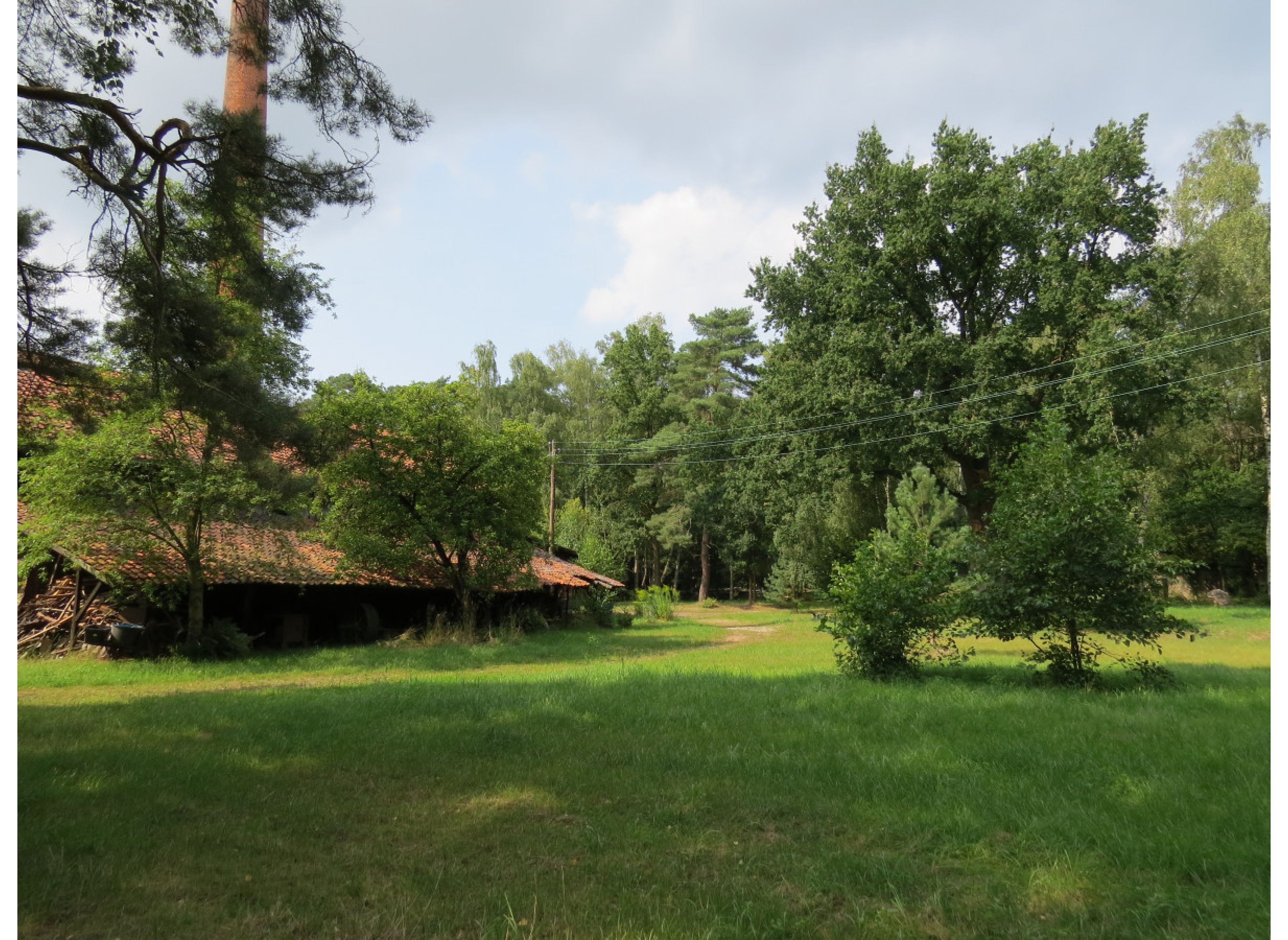 An der alten Ziegelei - Zwischen Wald und Auwiesen der Leine #2 — Photo 2