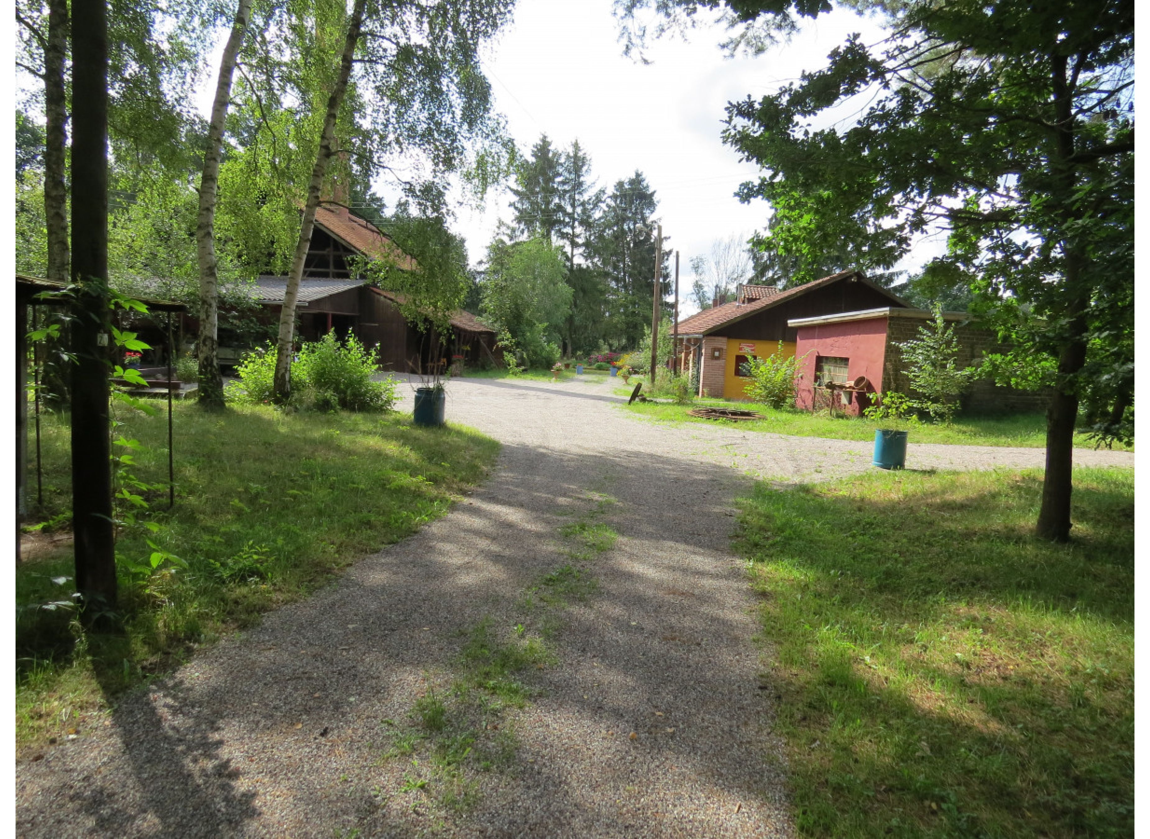 An der alten Ziegelei - Zwischen Wald und Auwiesen der Leine #2 — Photo 3