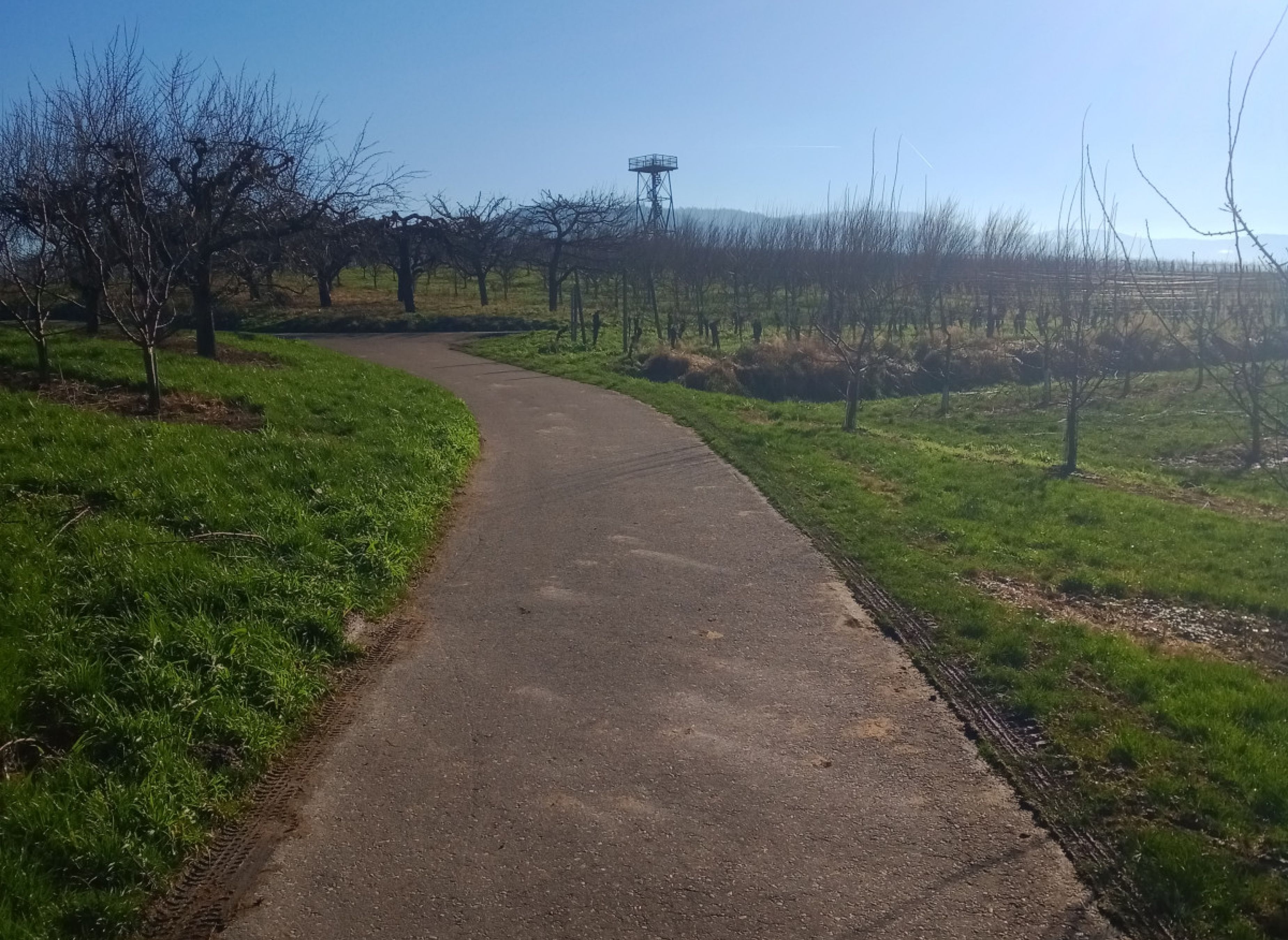 Einzelstellplatz " Am Aussichtsturm" — Photo 2
