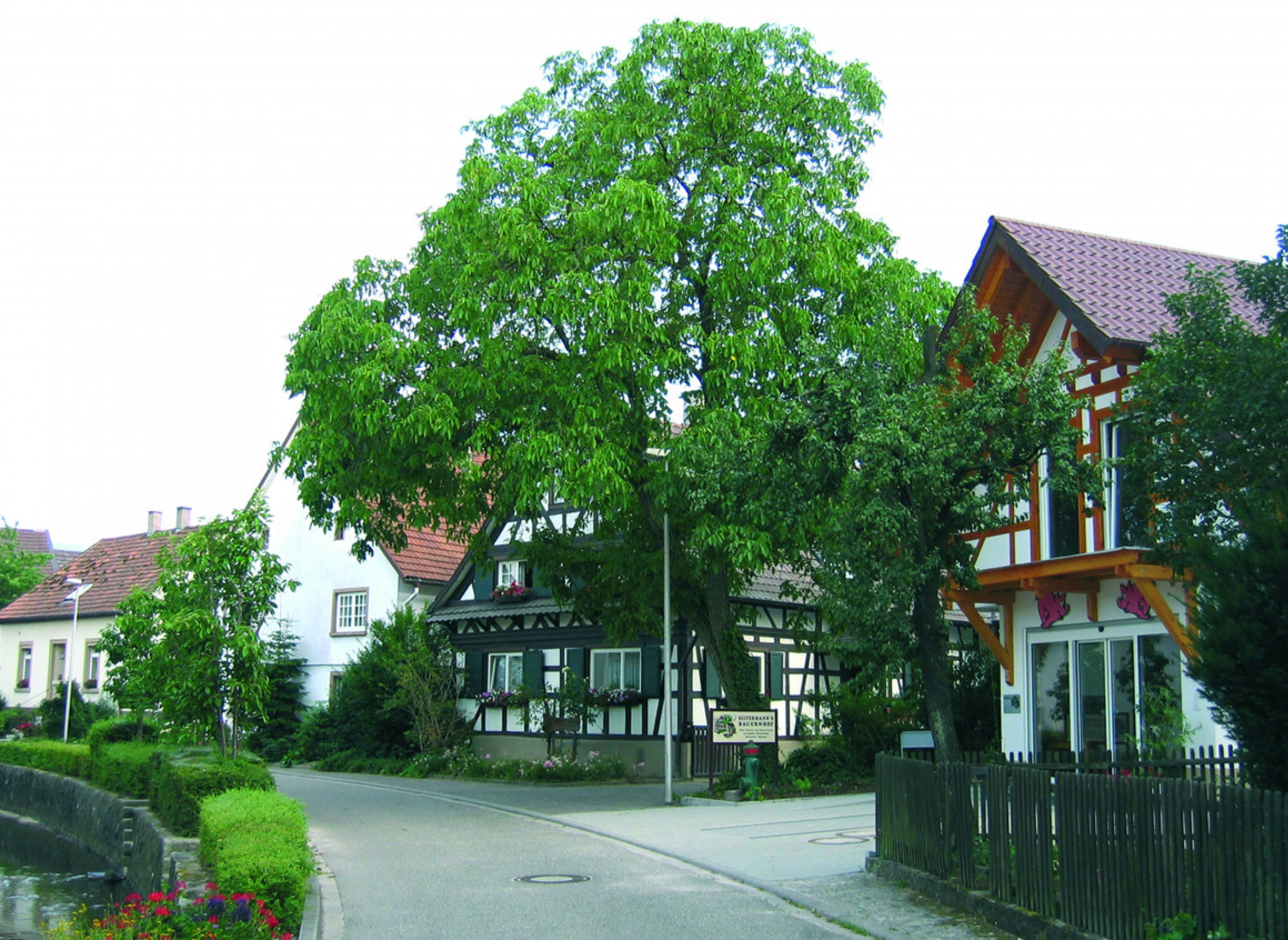Einzelstellplatz " Am Aussichtsturm" — Photo 3