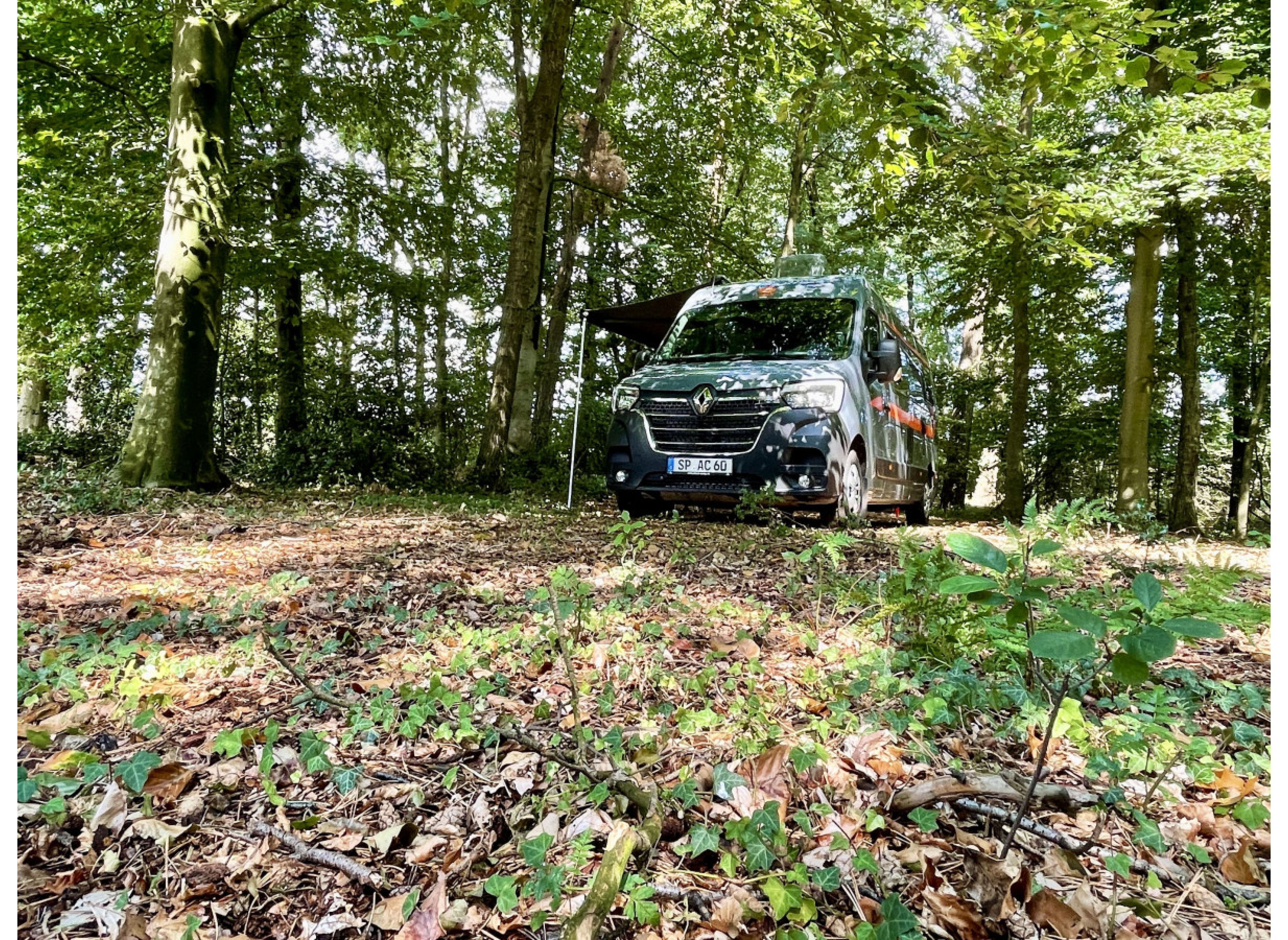 Einzelstellplatz an der Rinderwiese — Photo 2