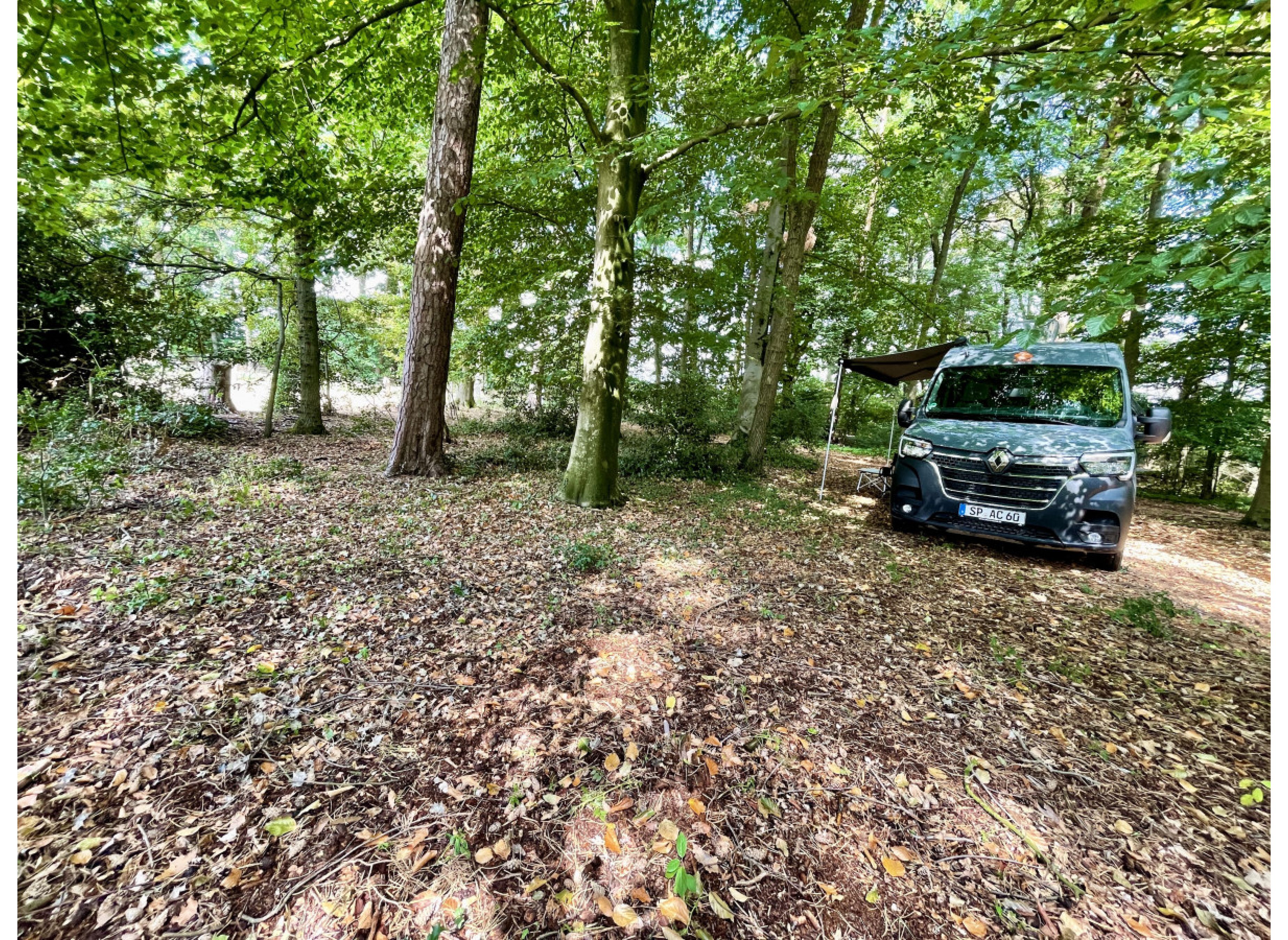 Einzelstellplatz an der Rinderwiese — Photo 3