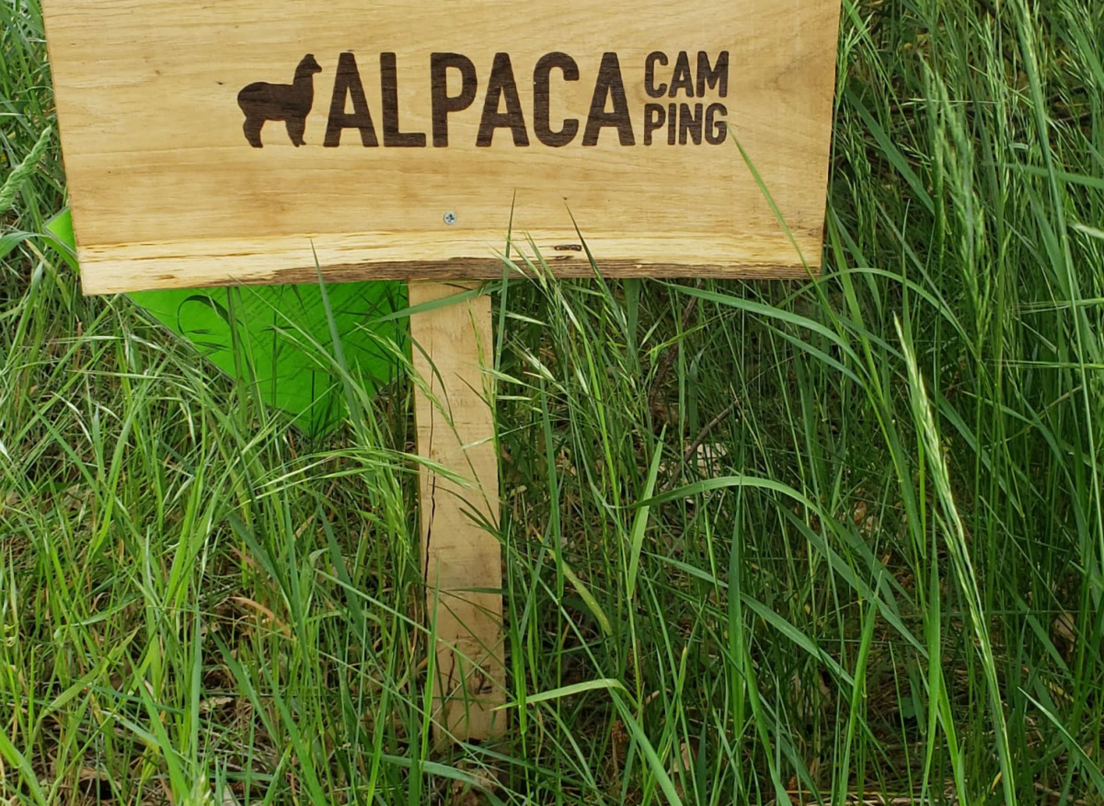 Einzelstellplatz in Waldnähe in der Feldmark — Photo 2