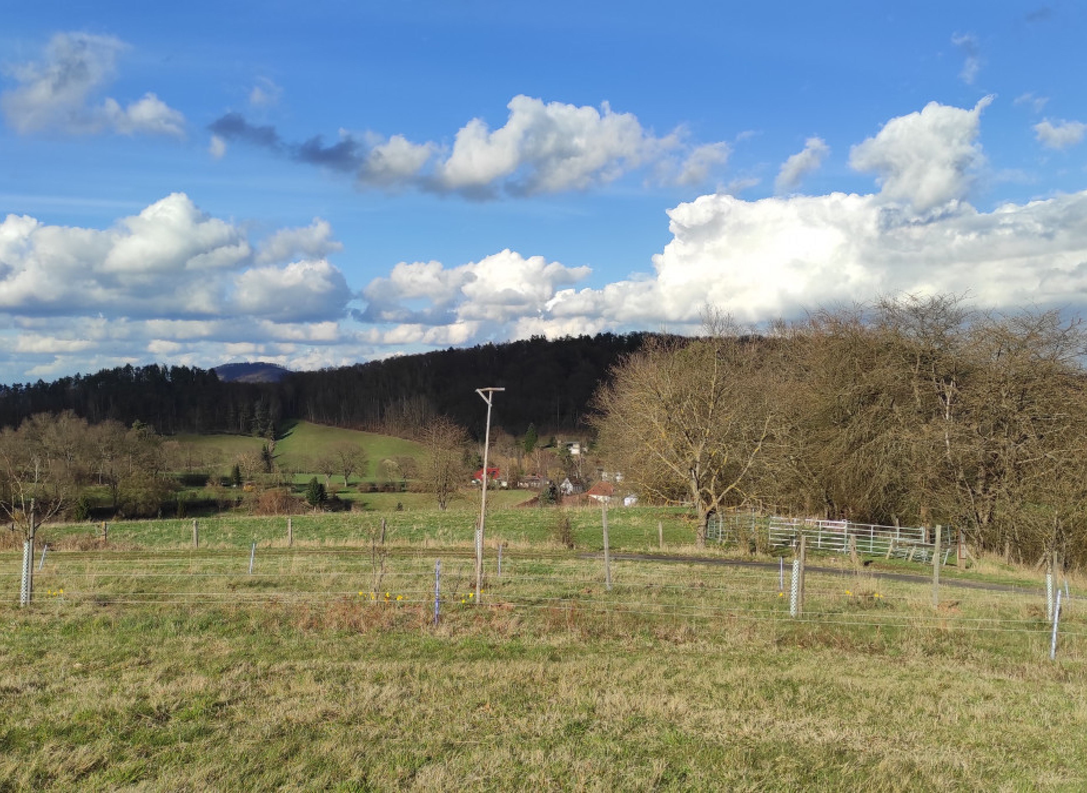 Stellplatz Alheimerblick — Photo 3