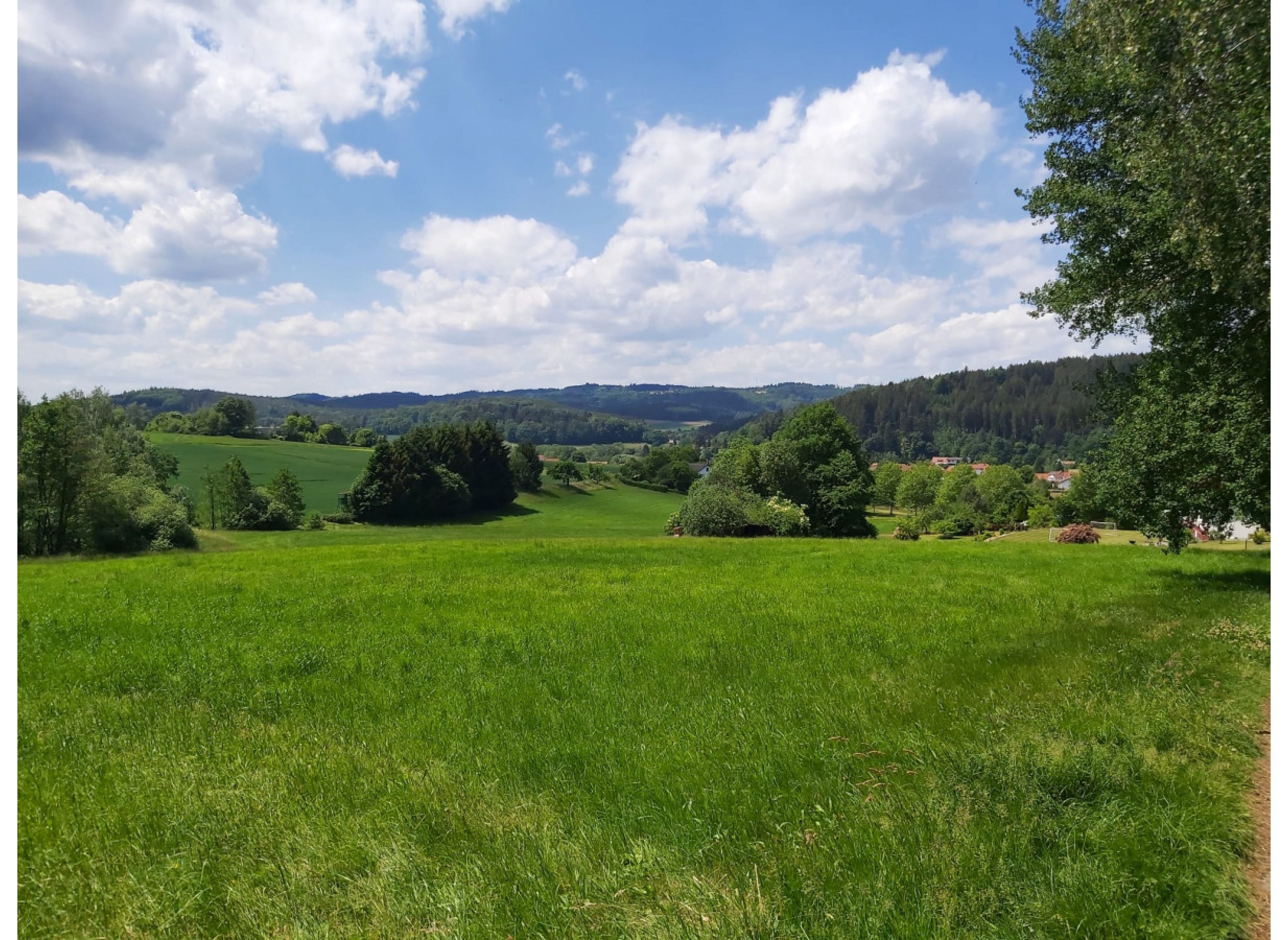 Stellplatz im Odenwald-Dorf Grasellenbach OT Wahlen direkt am Waldrand — Photo 3