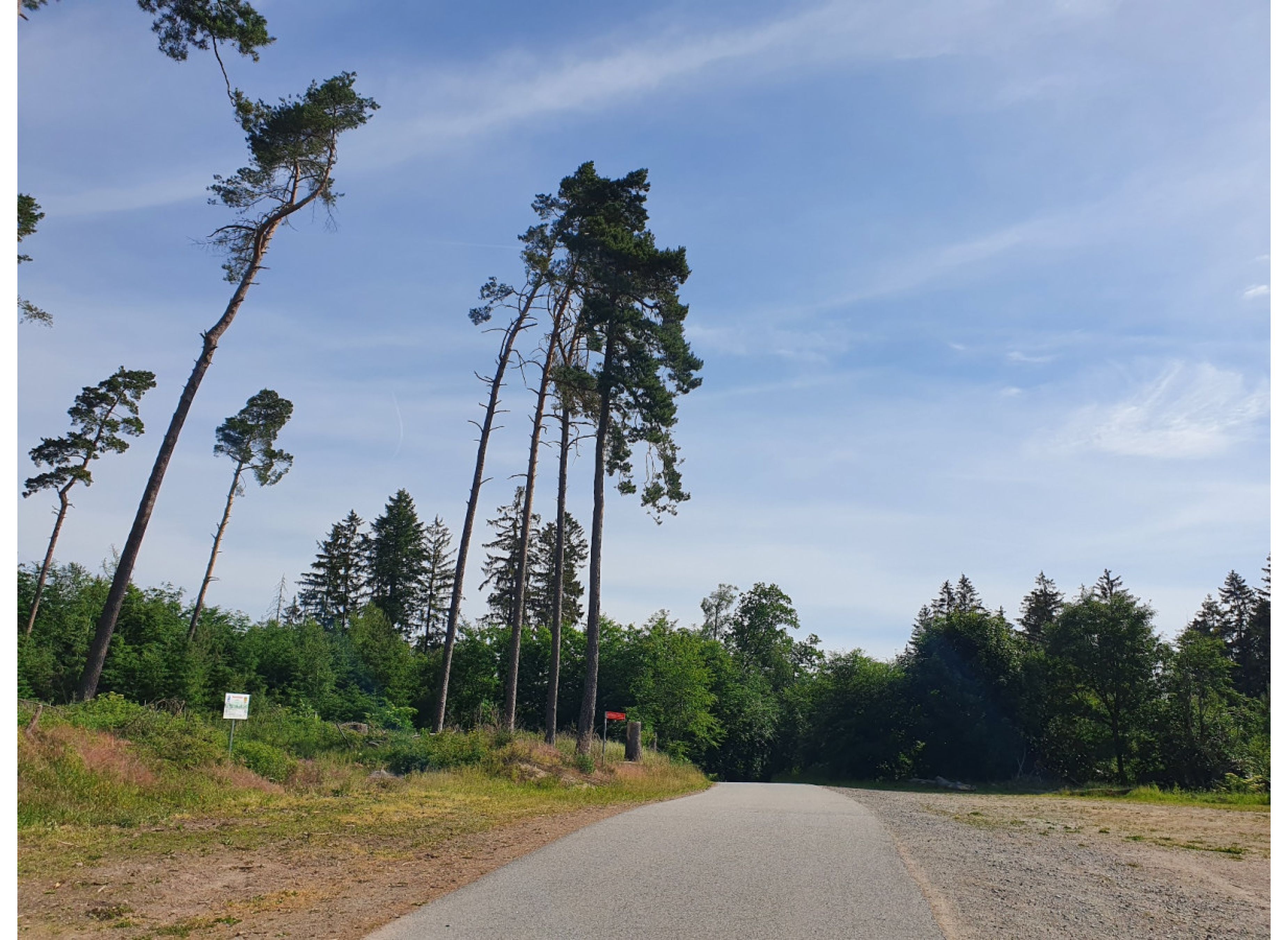 Stellplatz im Odenwald-Dorf Hammelbach direkt am Waldesrand nur 1 Nacht buchbar