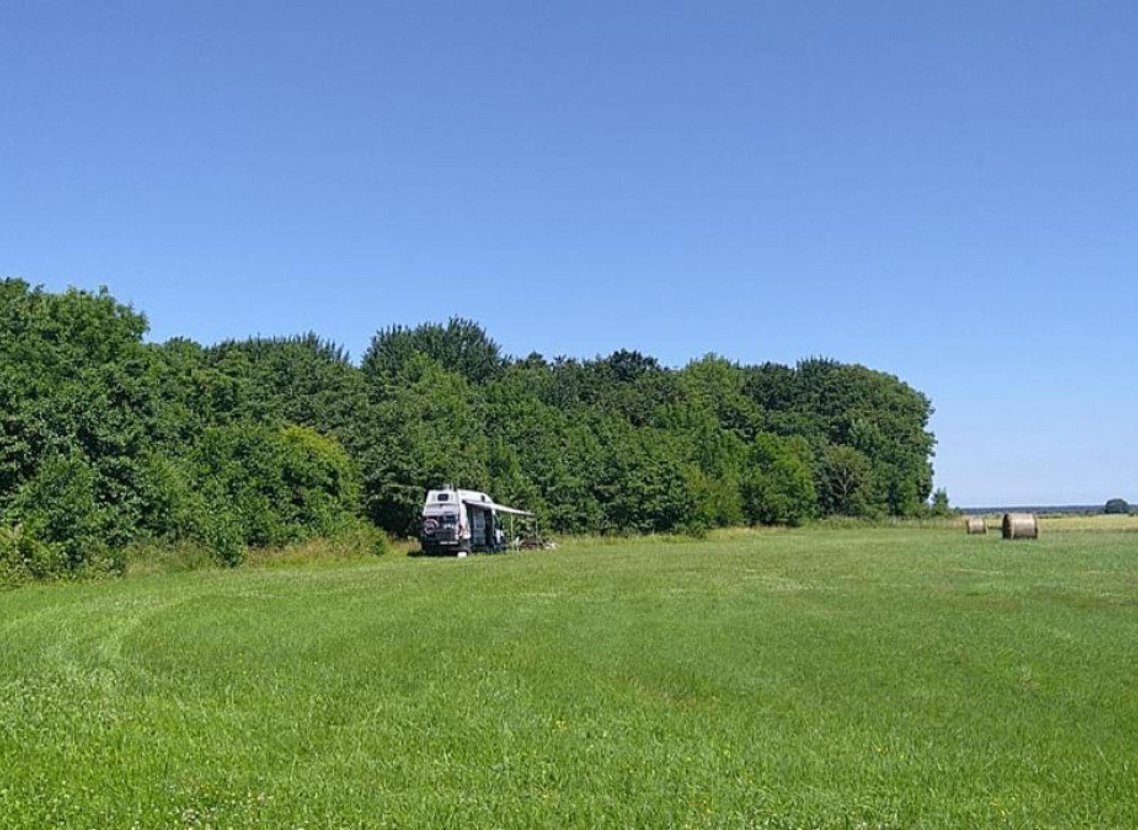 Auf der Künstlerwiese