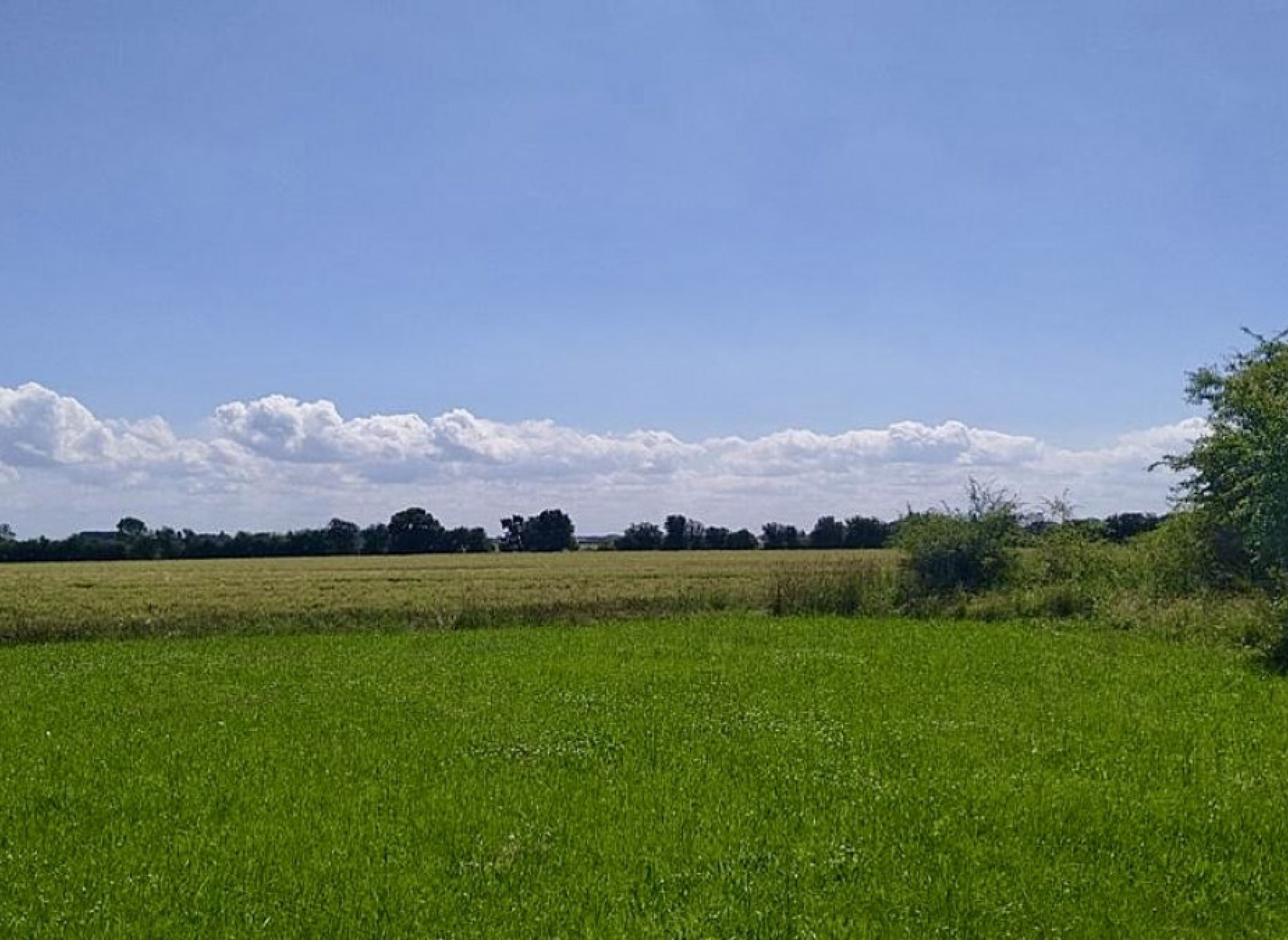 Auf der Künstlerwiese — Photo 2