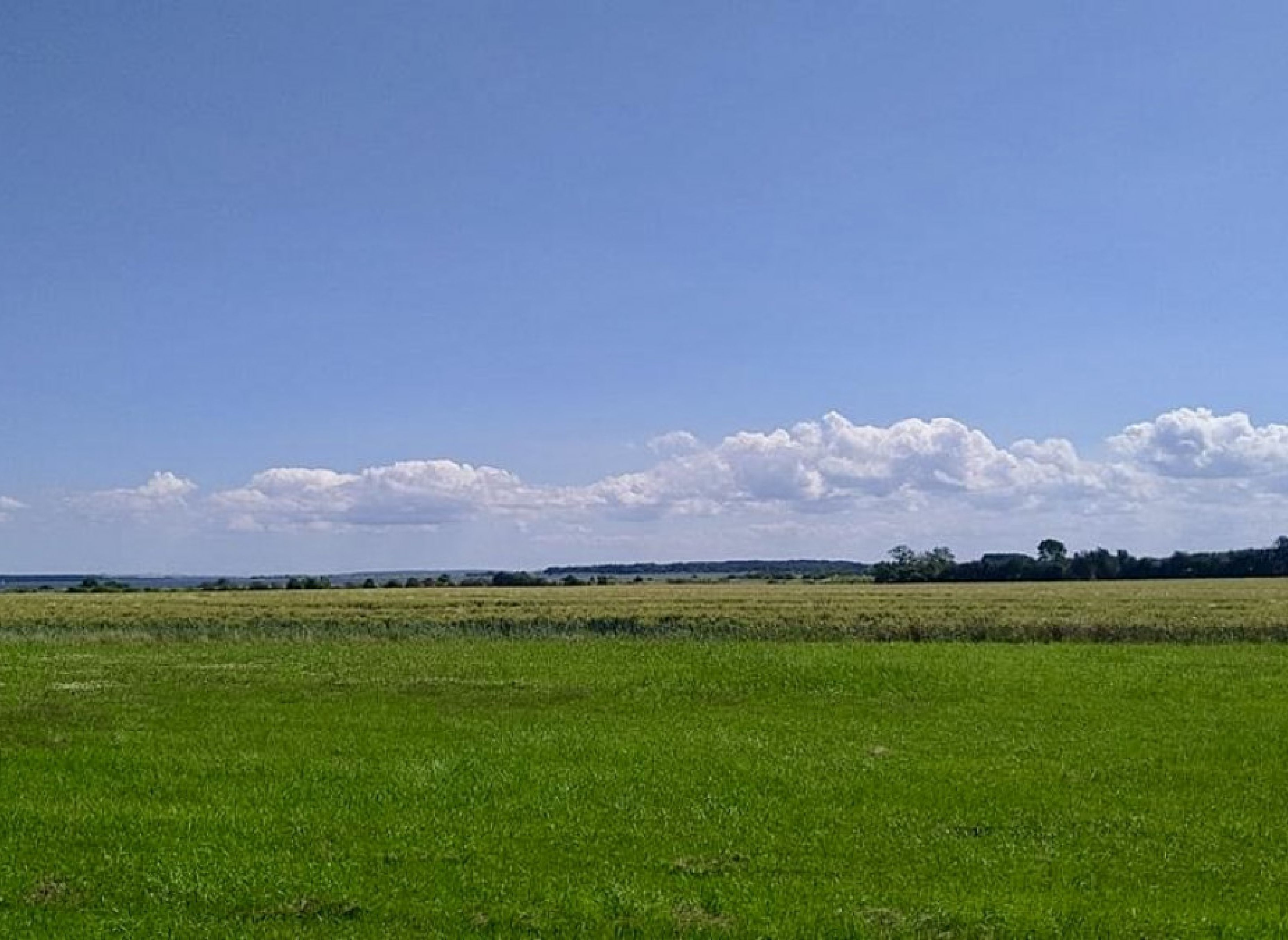 Auf der Künstlerwiese — Photo 3