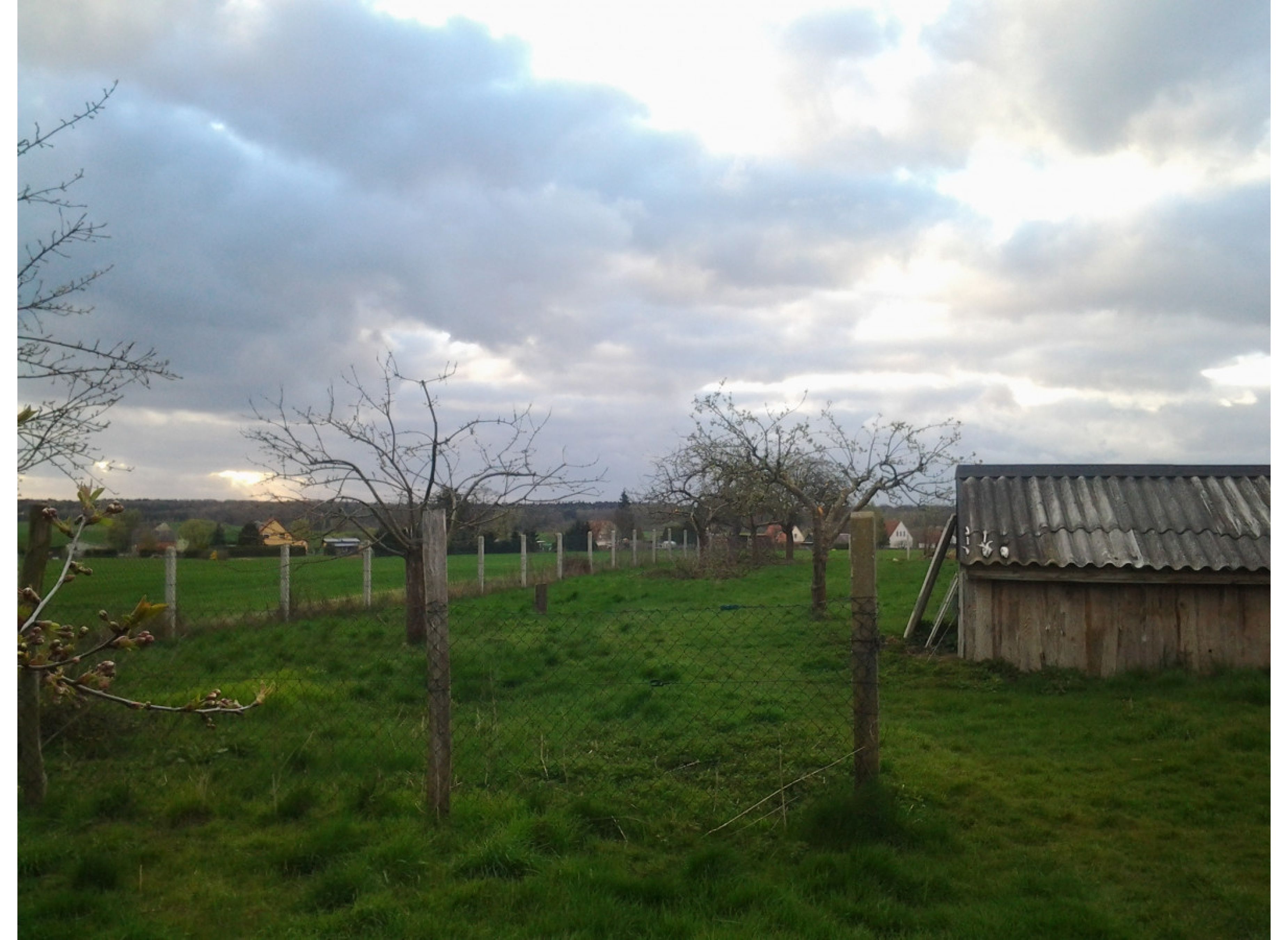 Ruhe und Entspannung am Rande der Feldberger Seenlandschaft