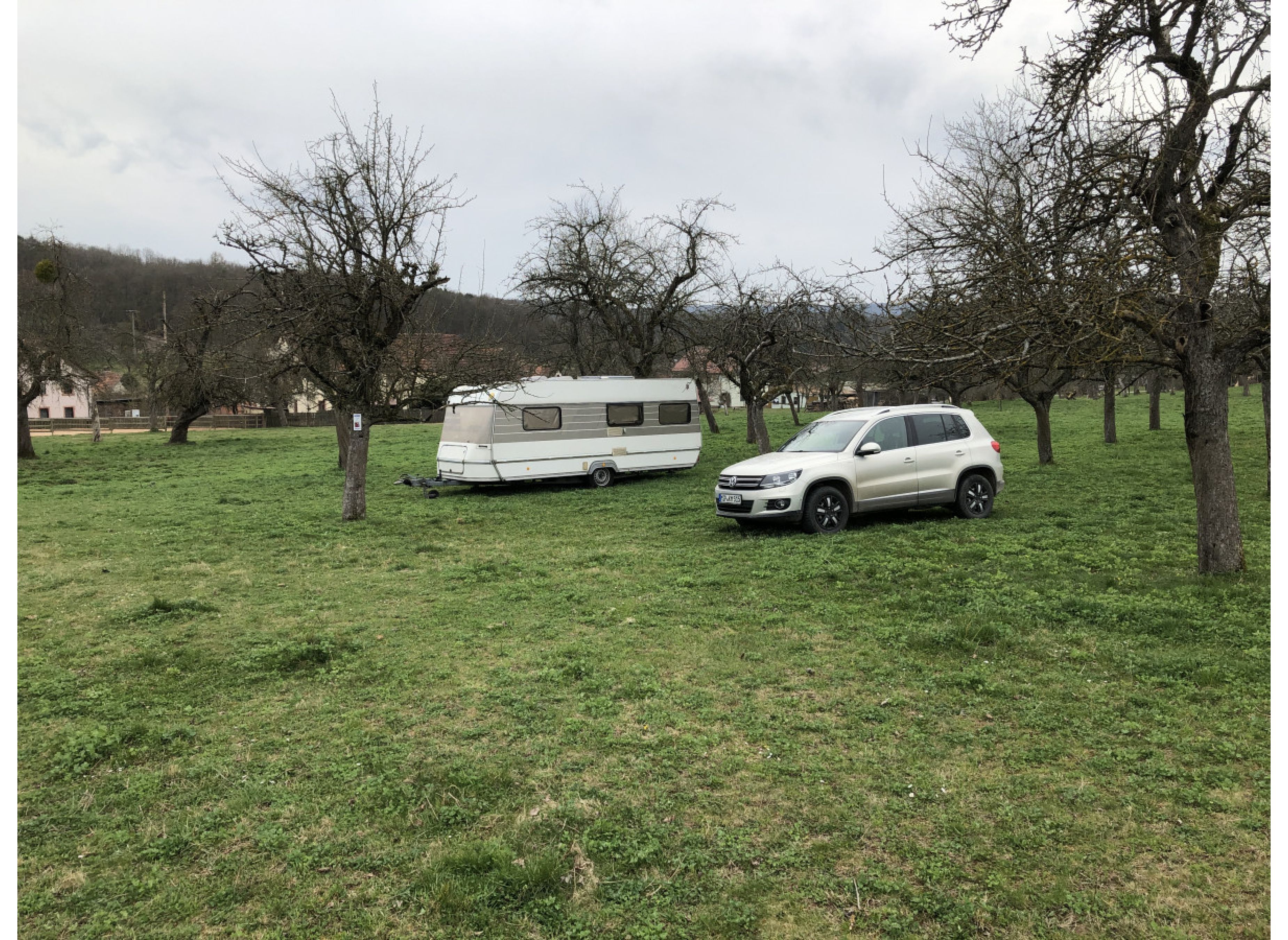 Ruhige Streuobstwiese am fränkischem Marienweg