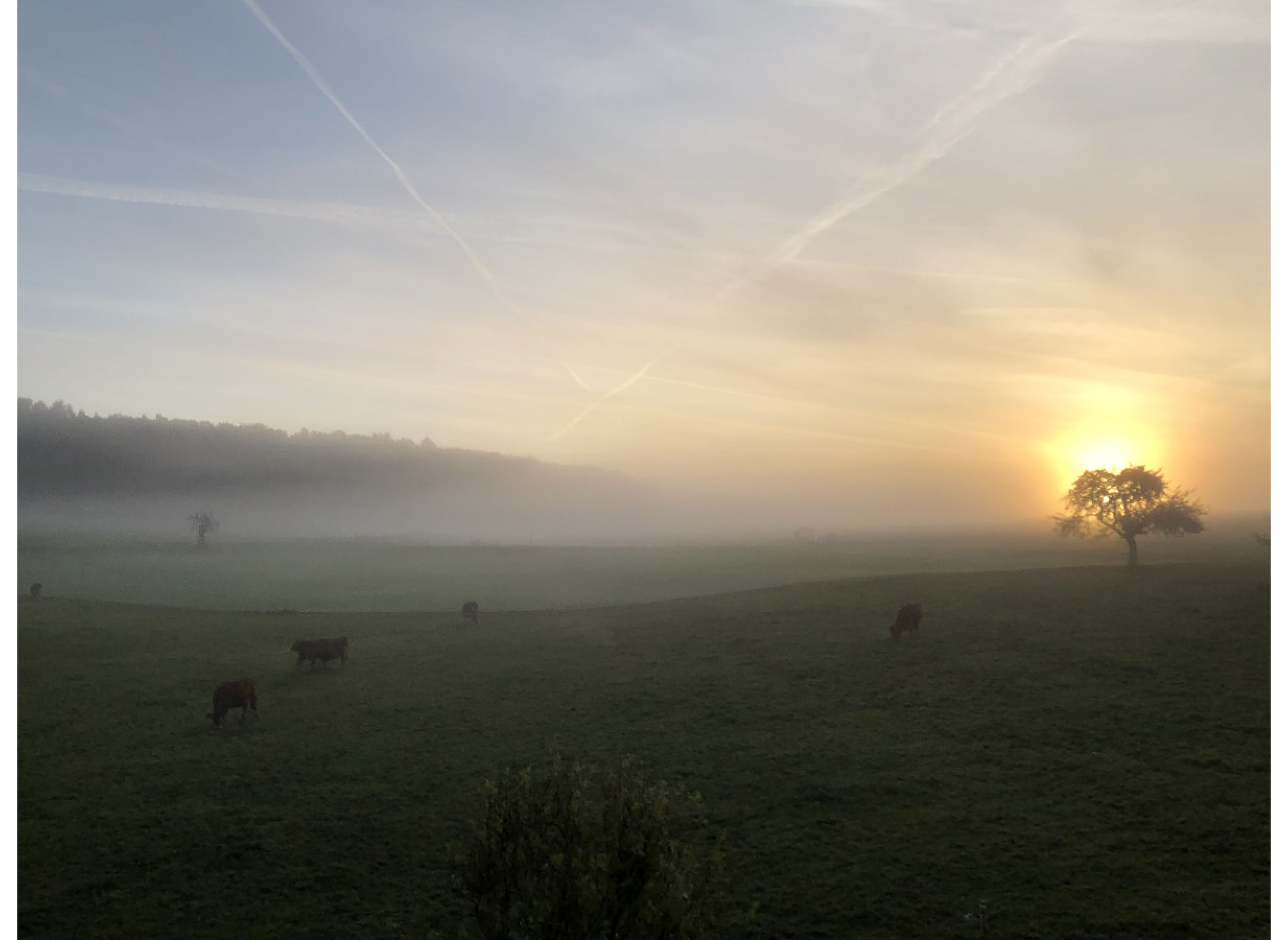 Ruhige Streuobstwiese am fränkischem Marienweg — Photo 2