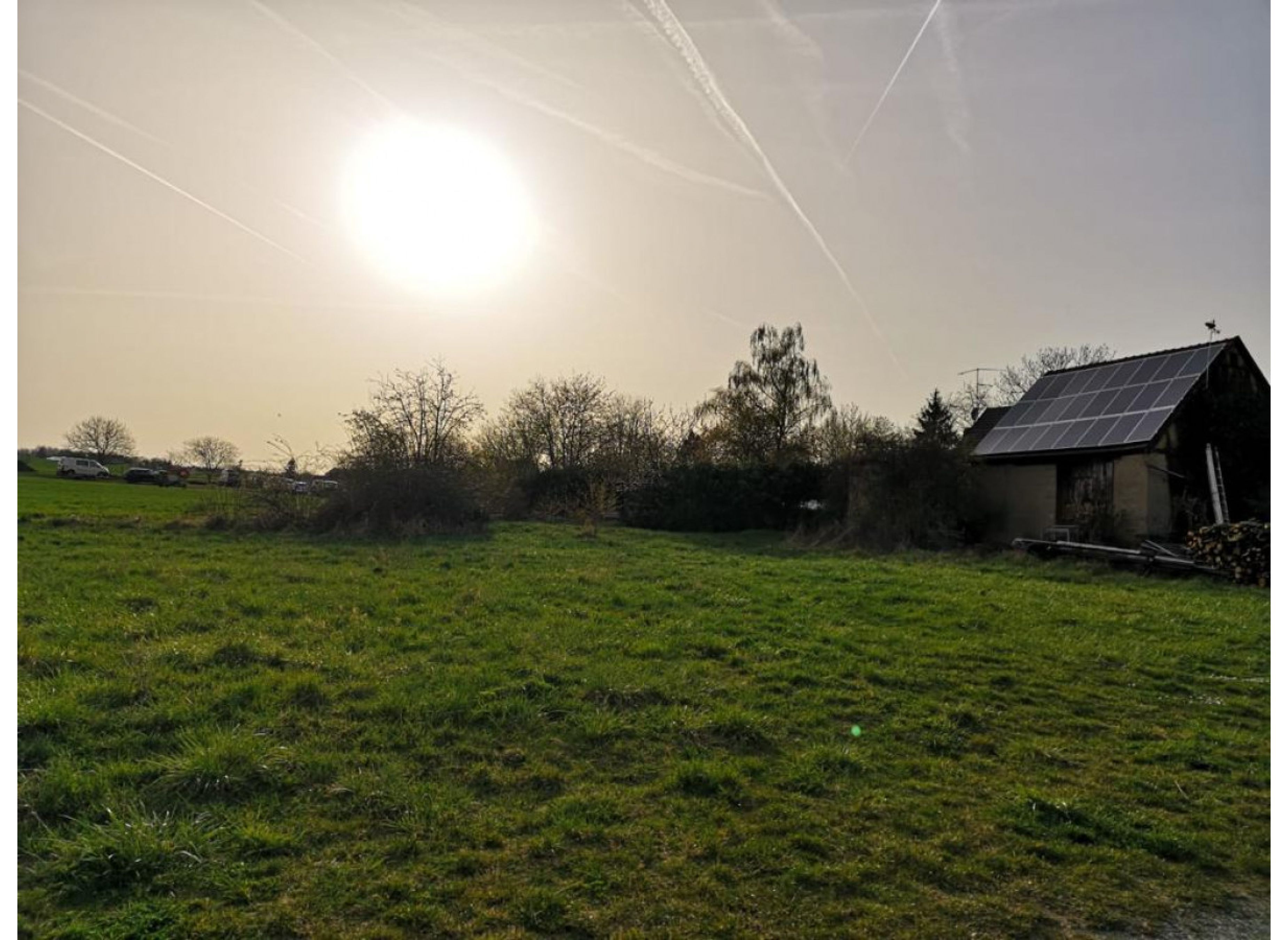 Mit den Vögeln aufstehen