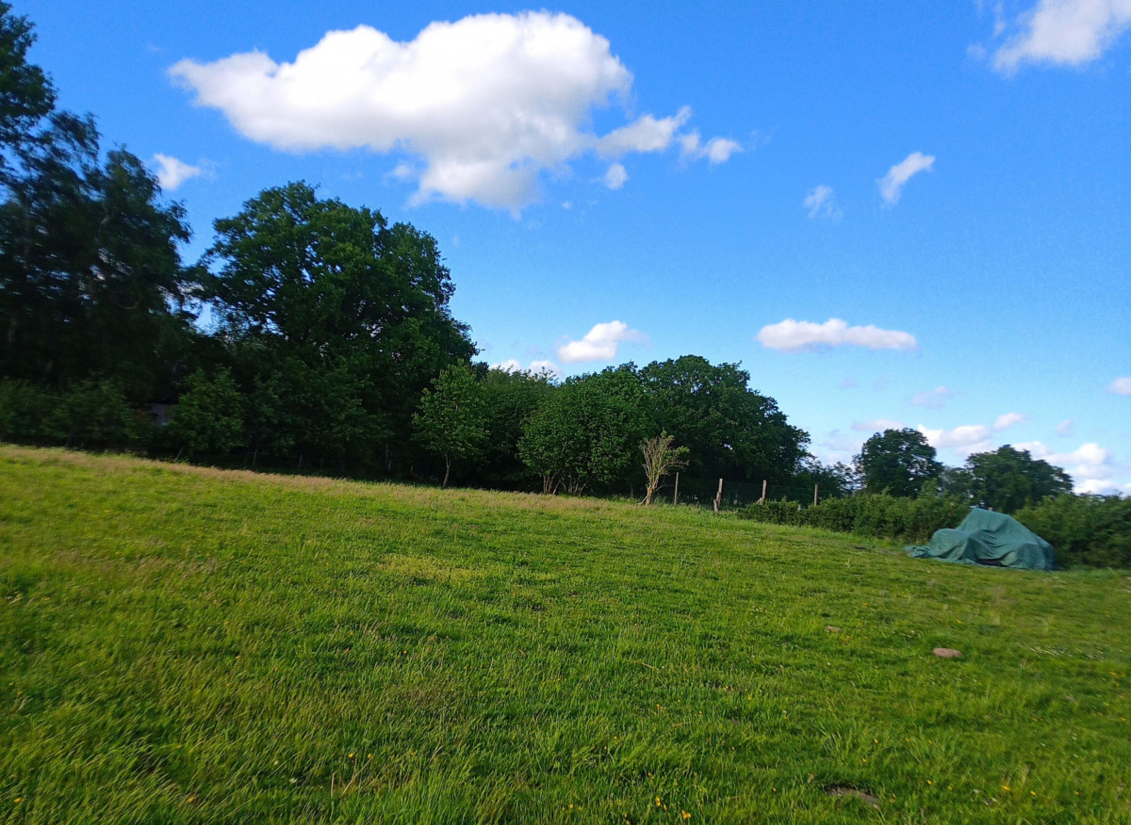 Auszeit im Grünen — Photo 2