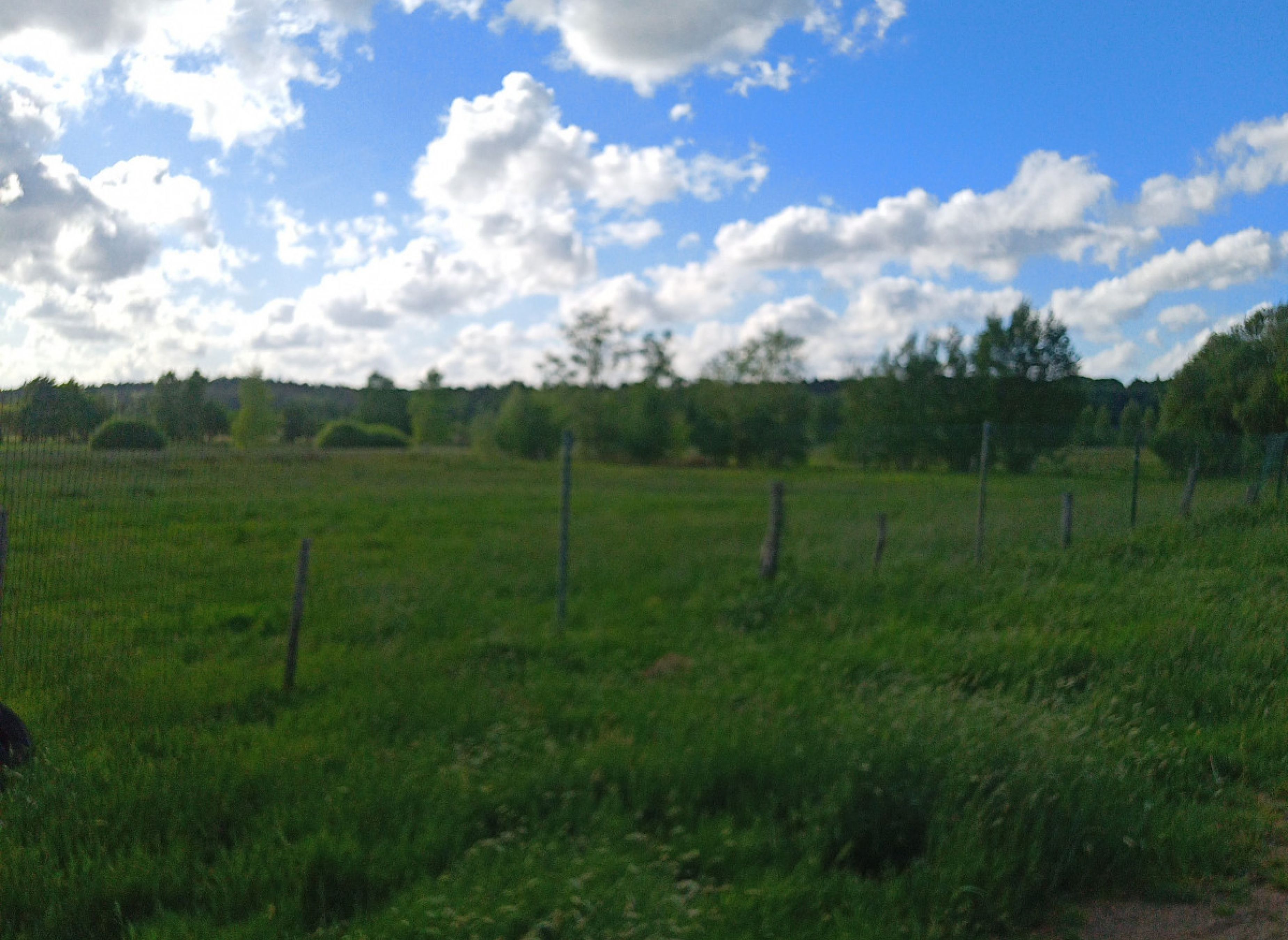 Auszeit im Grünen — Photo 3