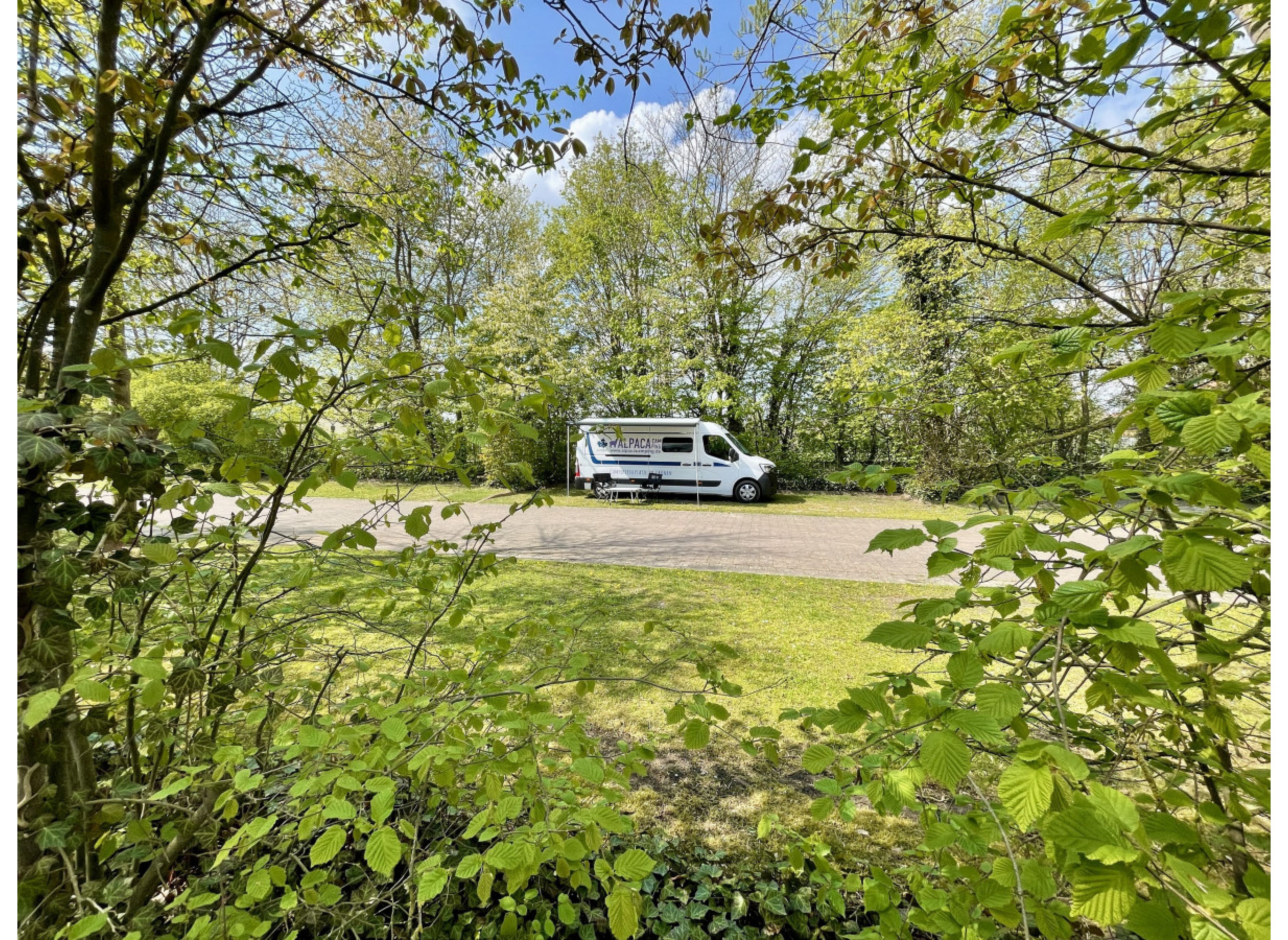 Entspannter Stellplatz unter Bäumen in Borgentreich