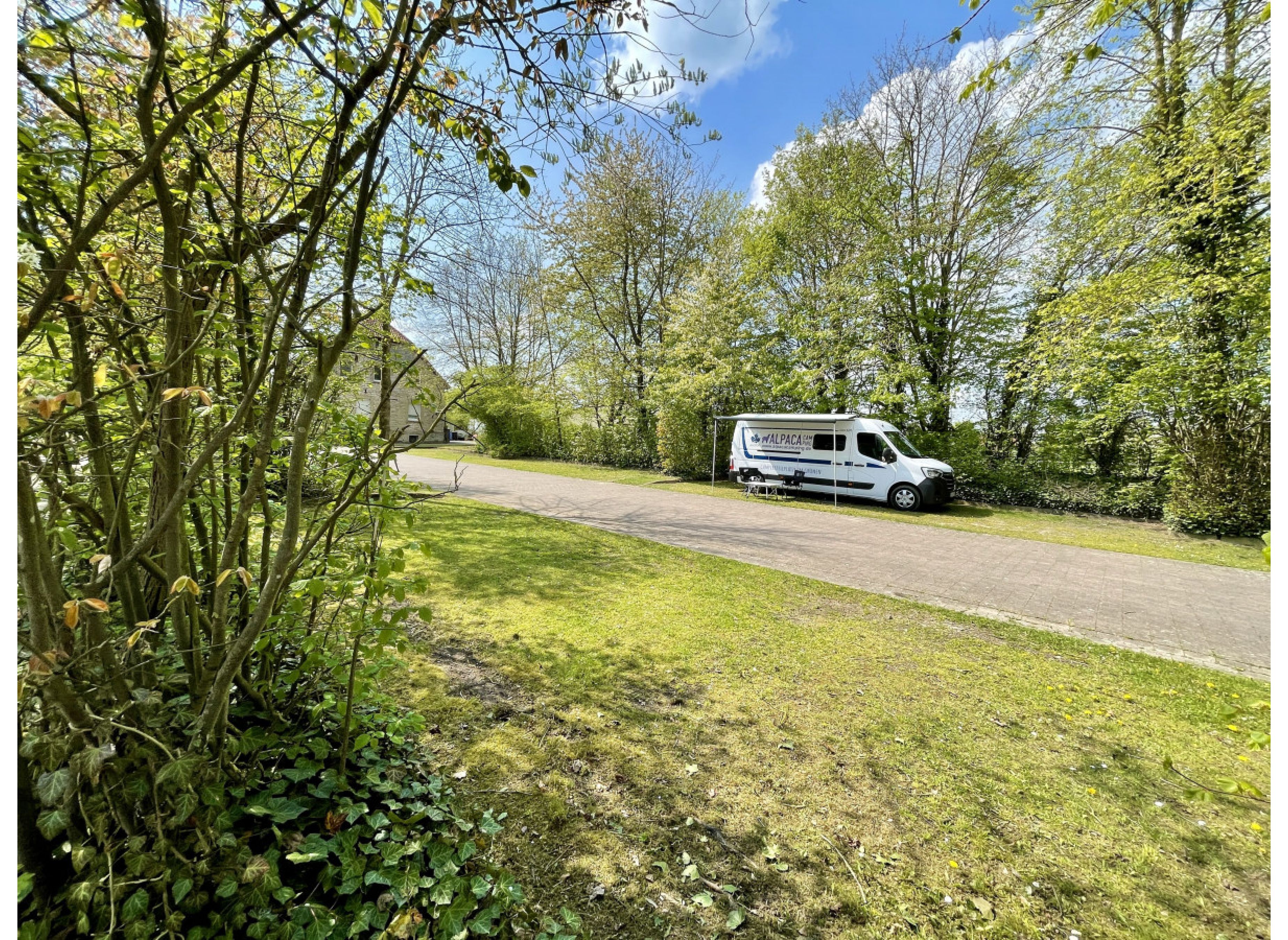 Entspannter Stellplatz unter Bäumen in Borgentreich — Photo 2