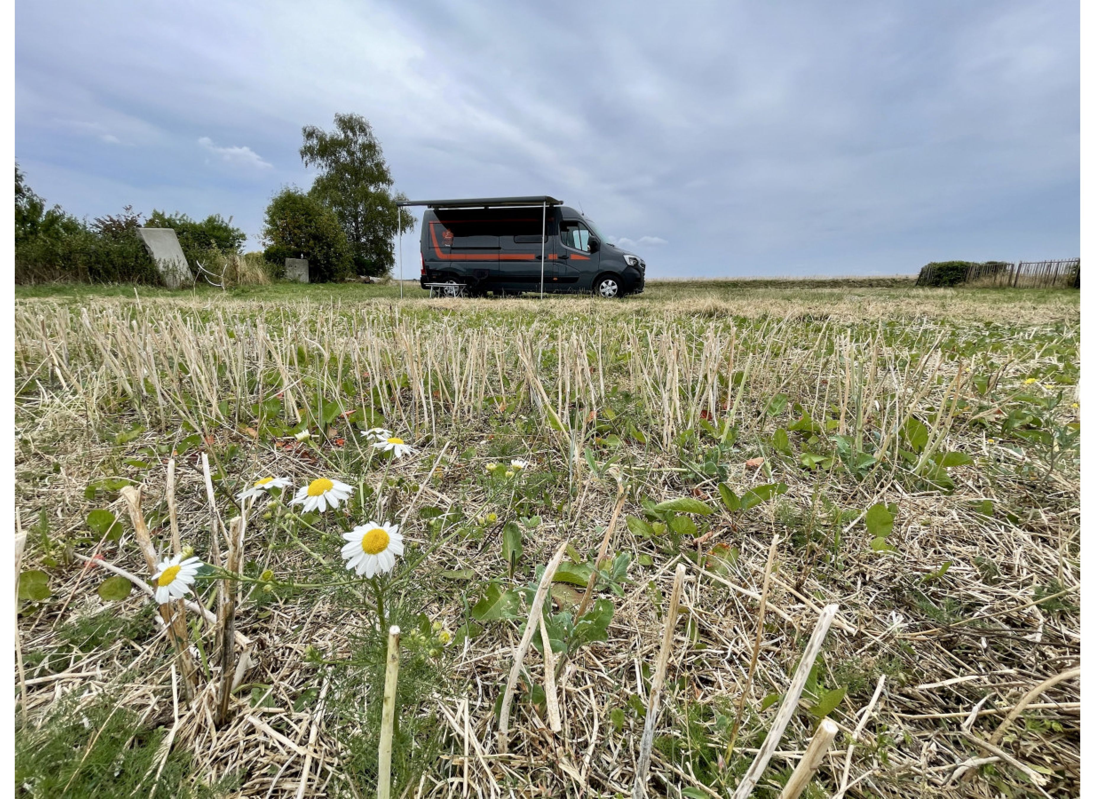 Traumhafte Aussicht im Grünen — Photo 3
