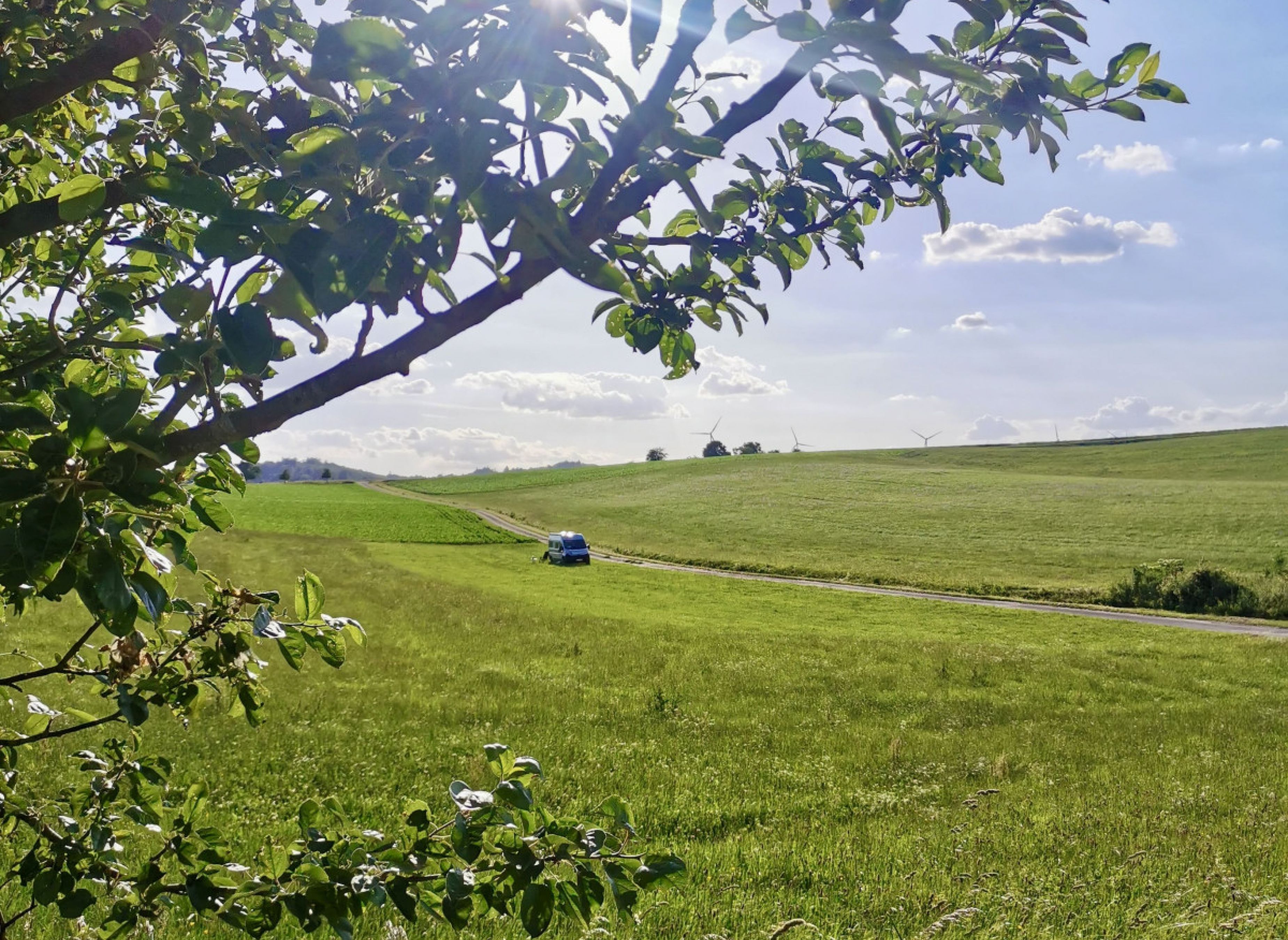 Ruhiger Stellplatz zwischen Wiesen und Felder #2 — Photo 2