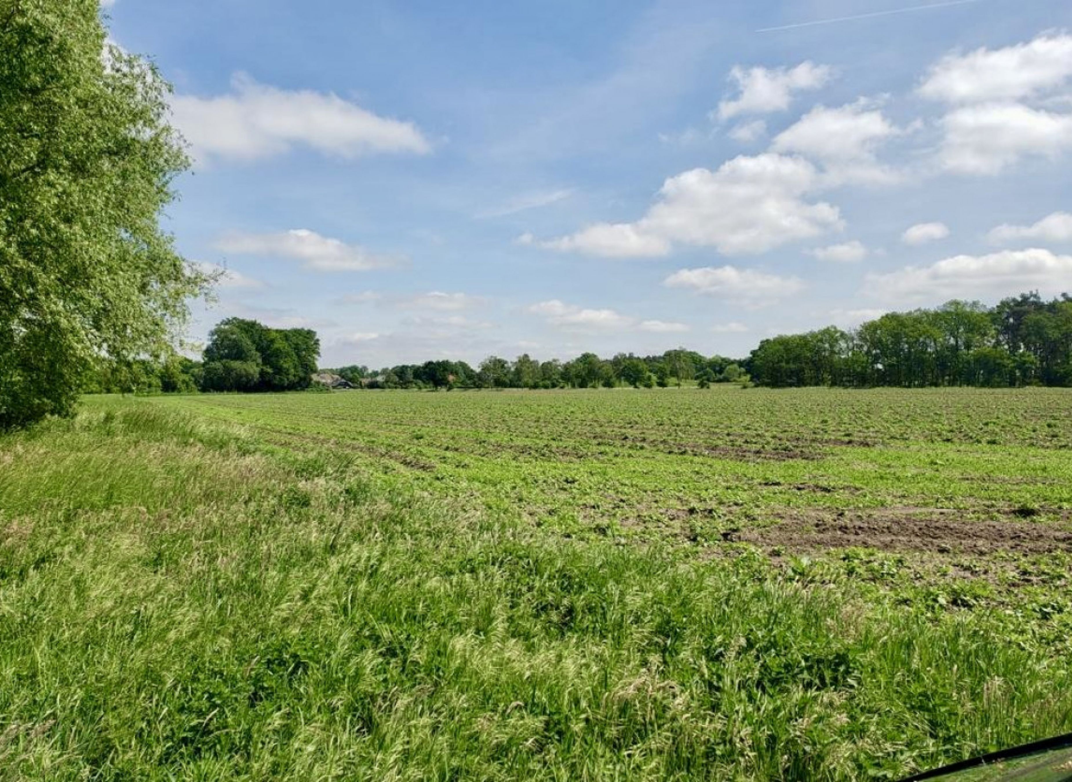 ruhiger Einzelstellplatz zwischen Feldern, Wiesen und Weiden