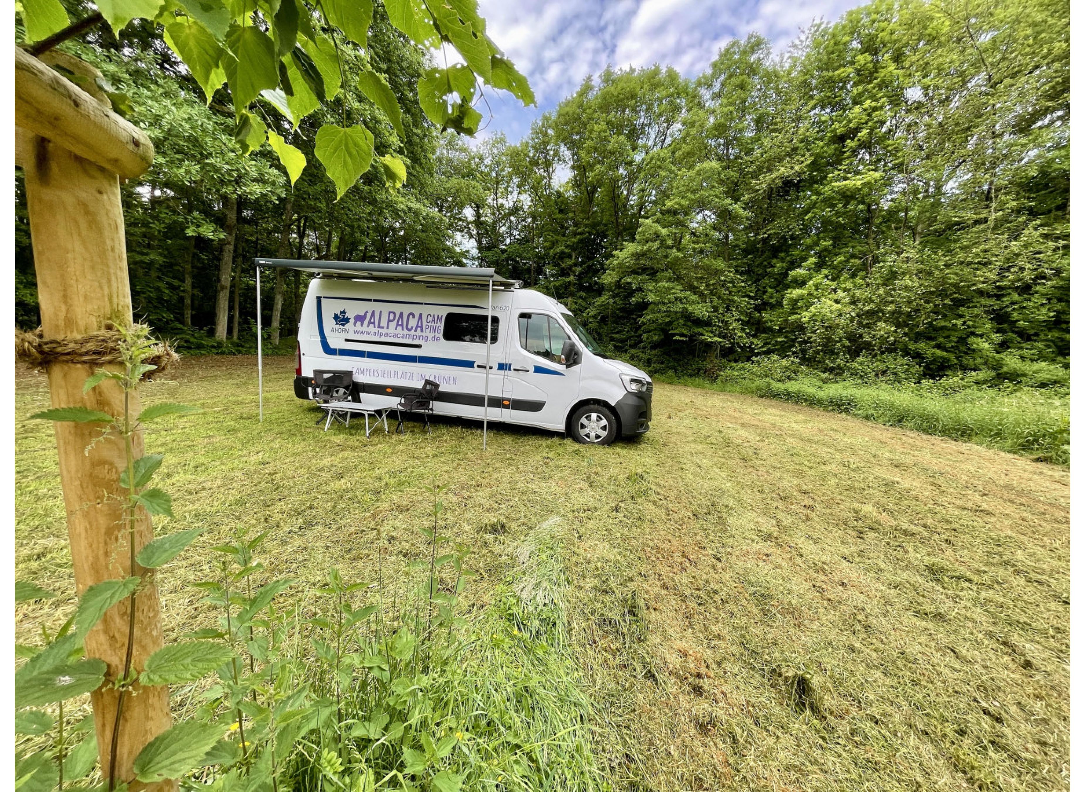 Idyllische Wiese am Grillplatz