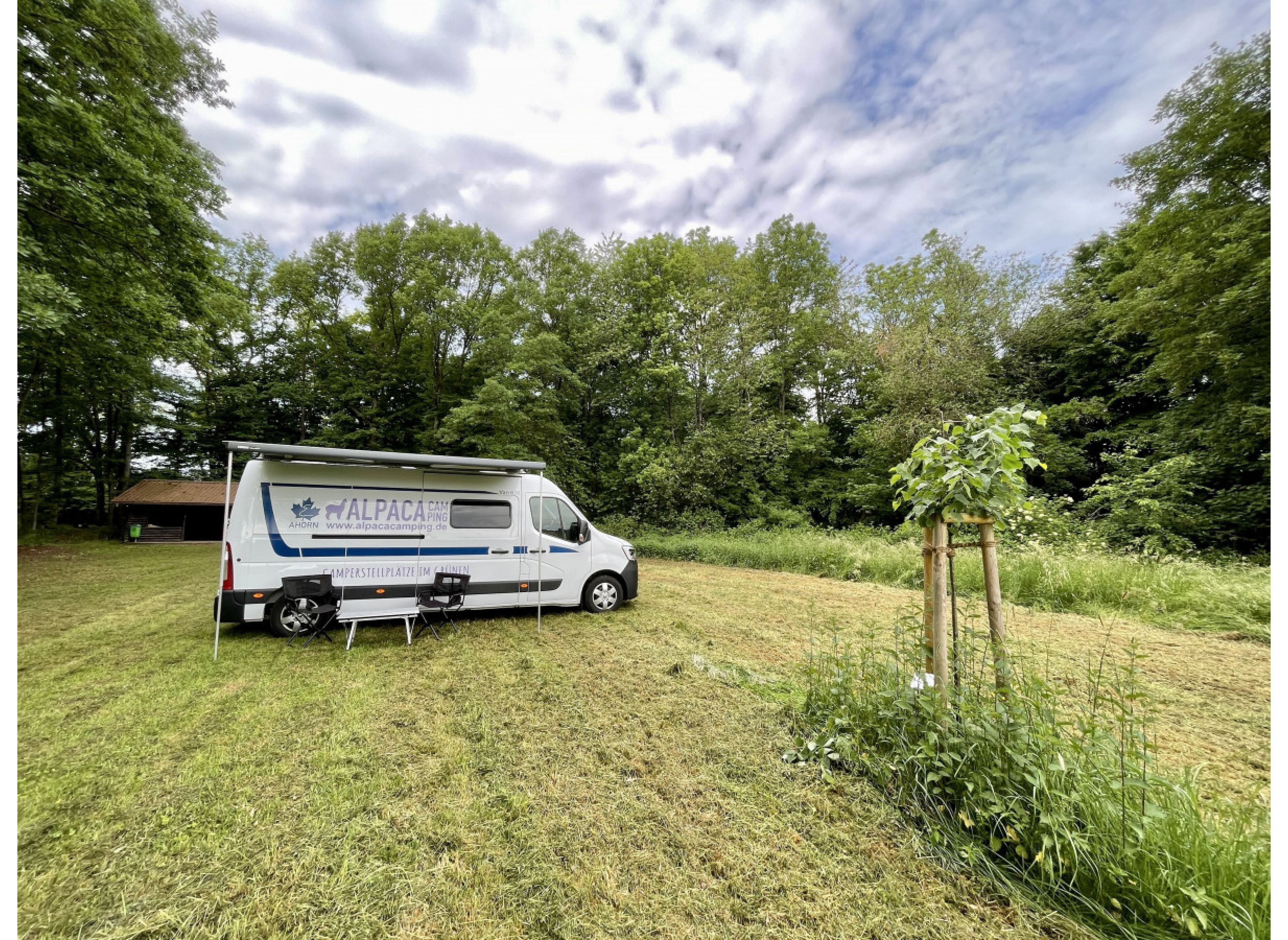Idyllische Wiese am Grillplatz — Photo 2