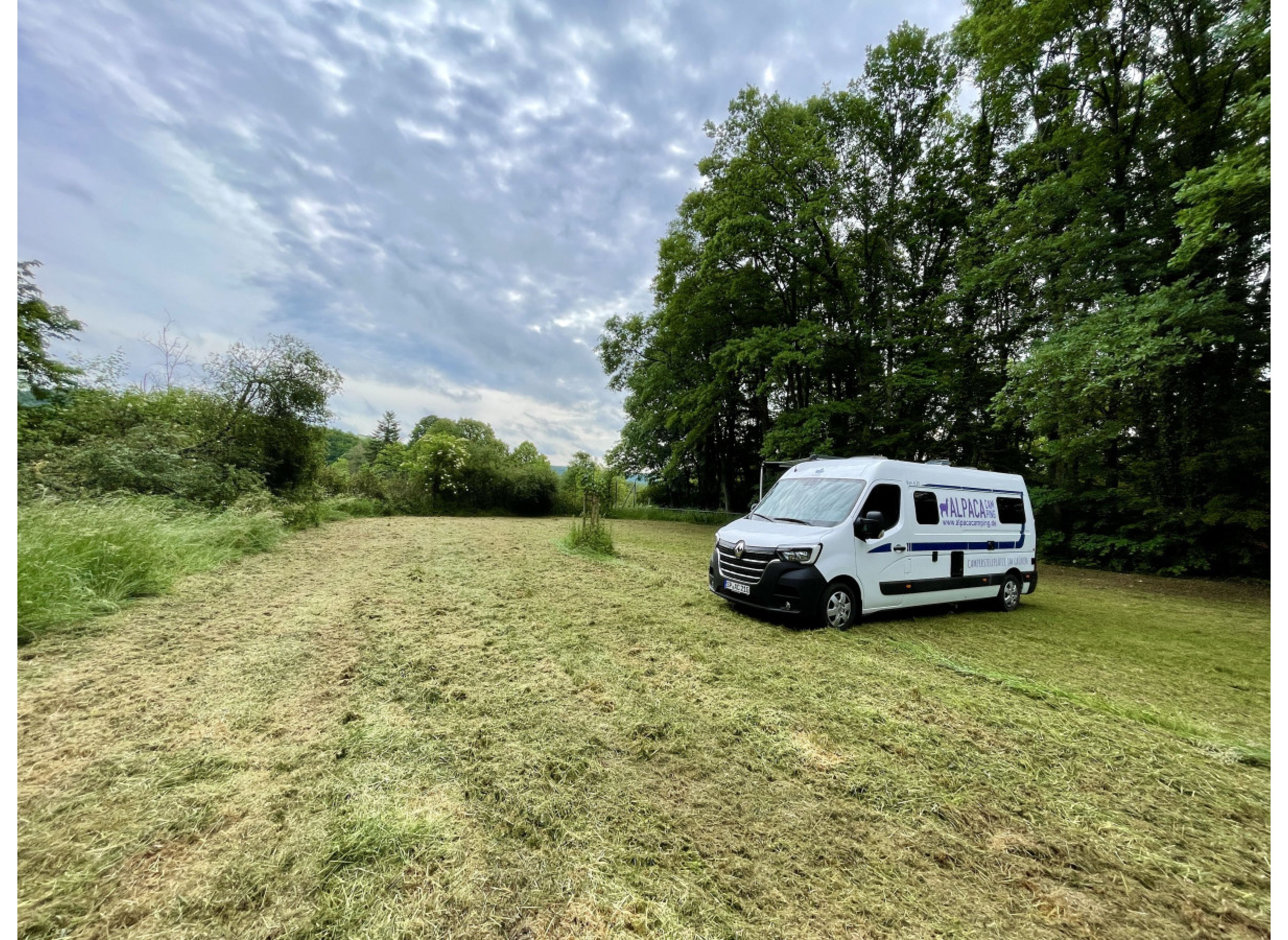 Idyllische Wiese am Grillplatz — Photo 3