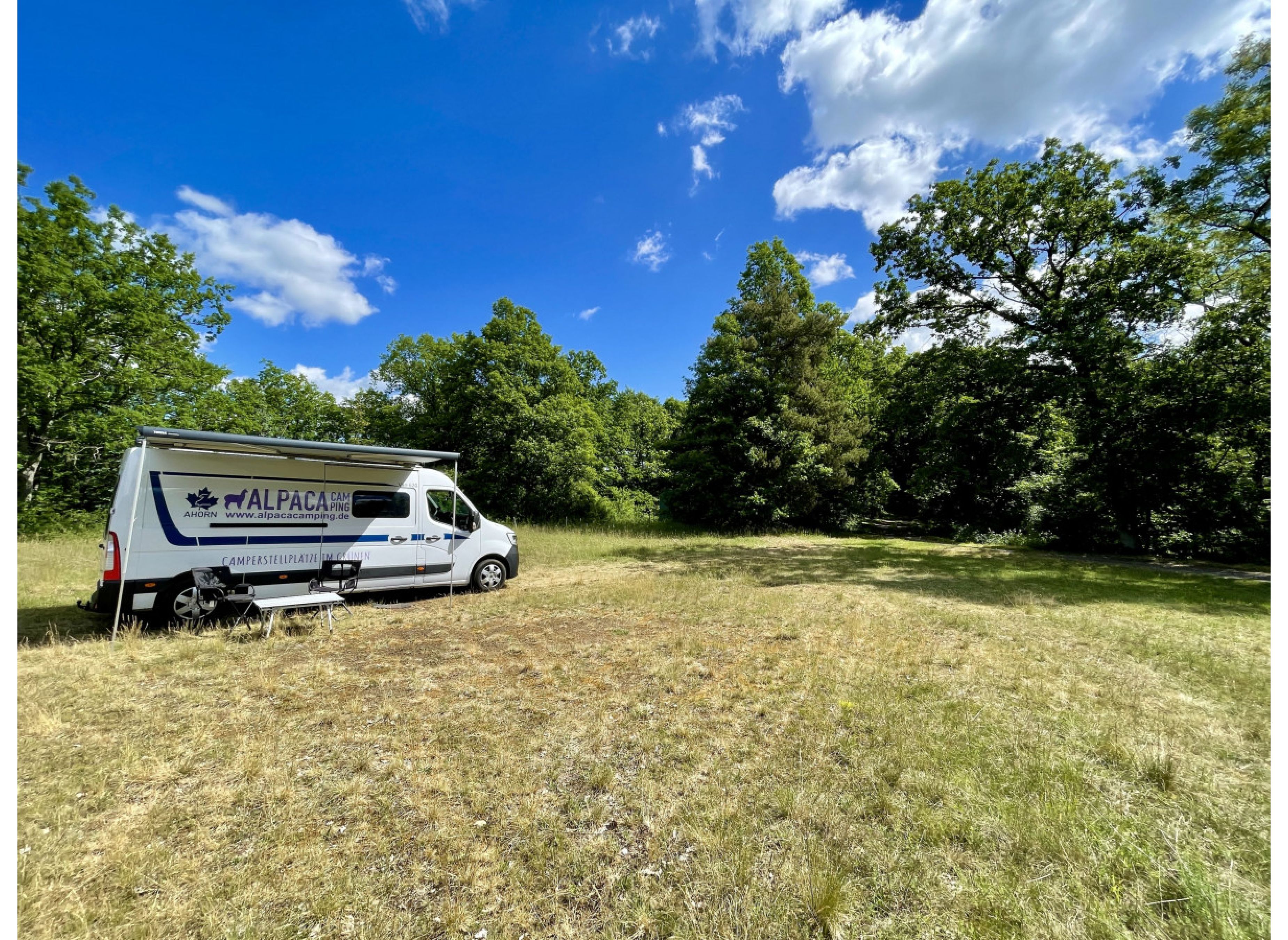 Waldplatz an der Pfälzerwaldhütte