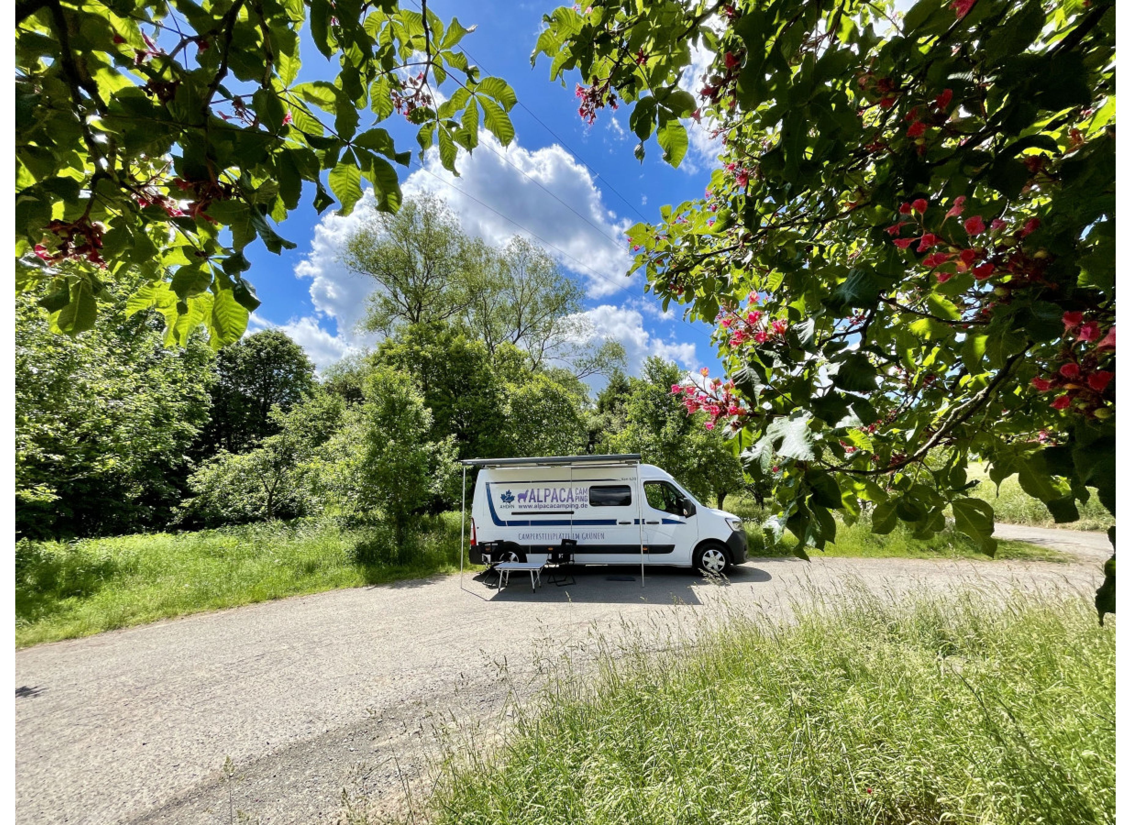 Grünstreifen in Ortsrandlage