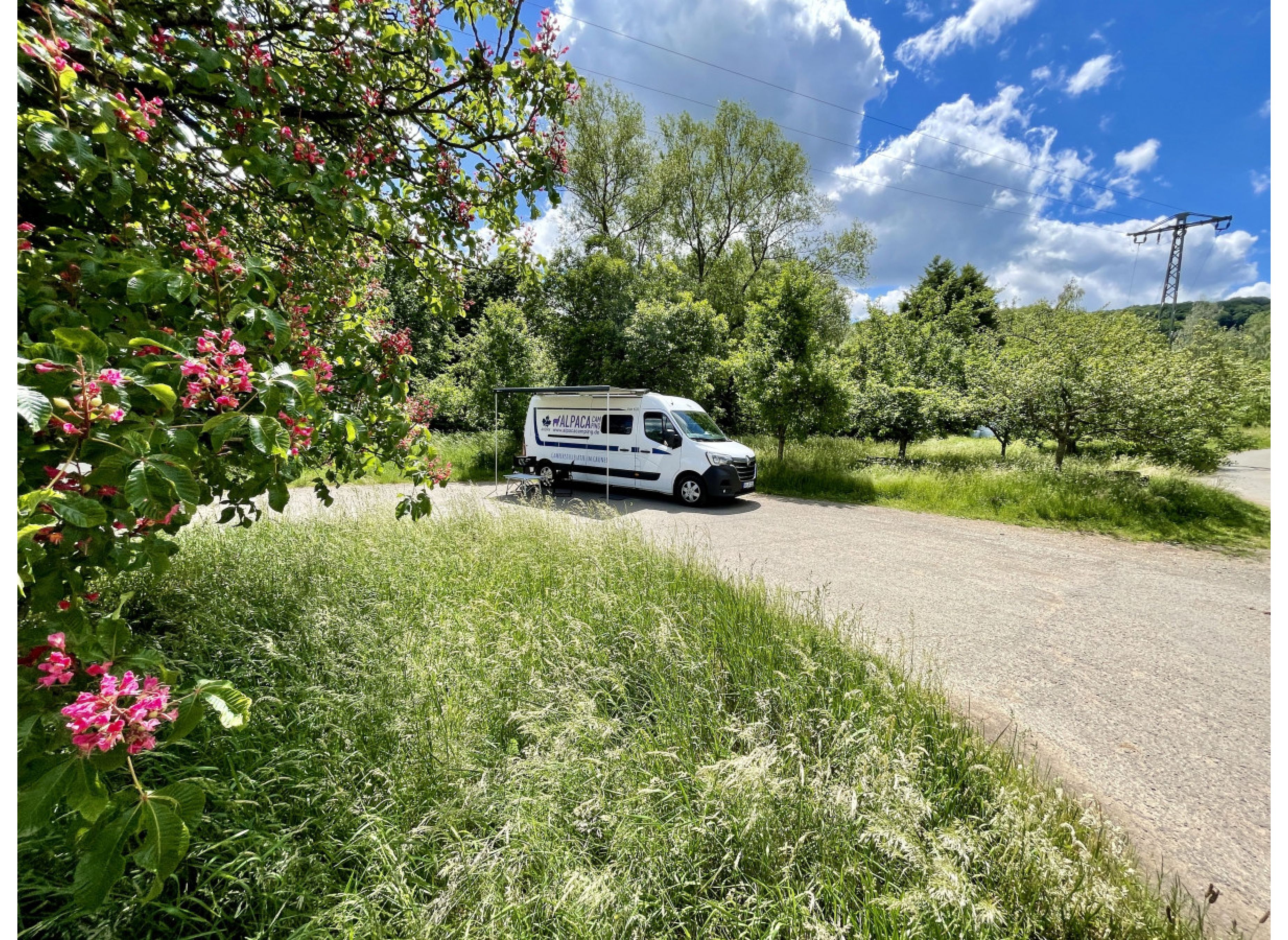 Grünstreifen in Ortsrandlage — Photo 2