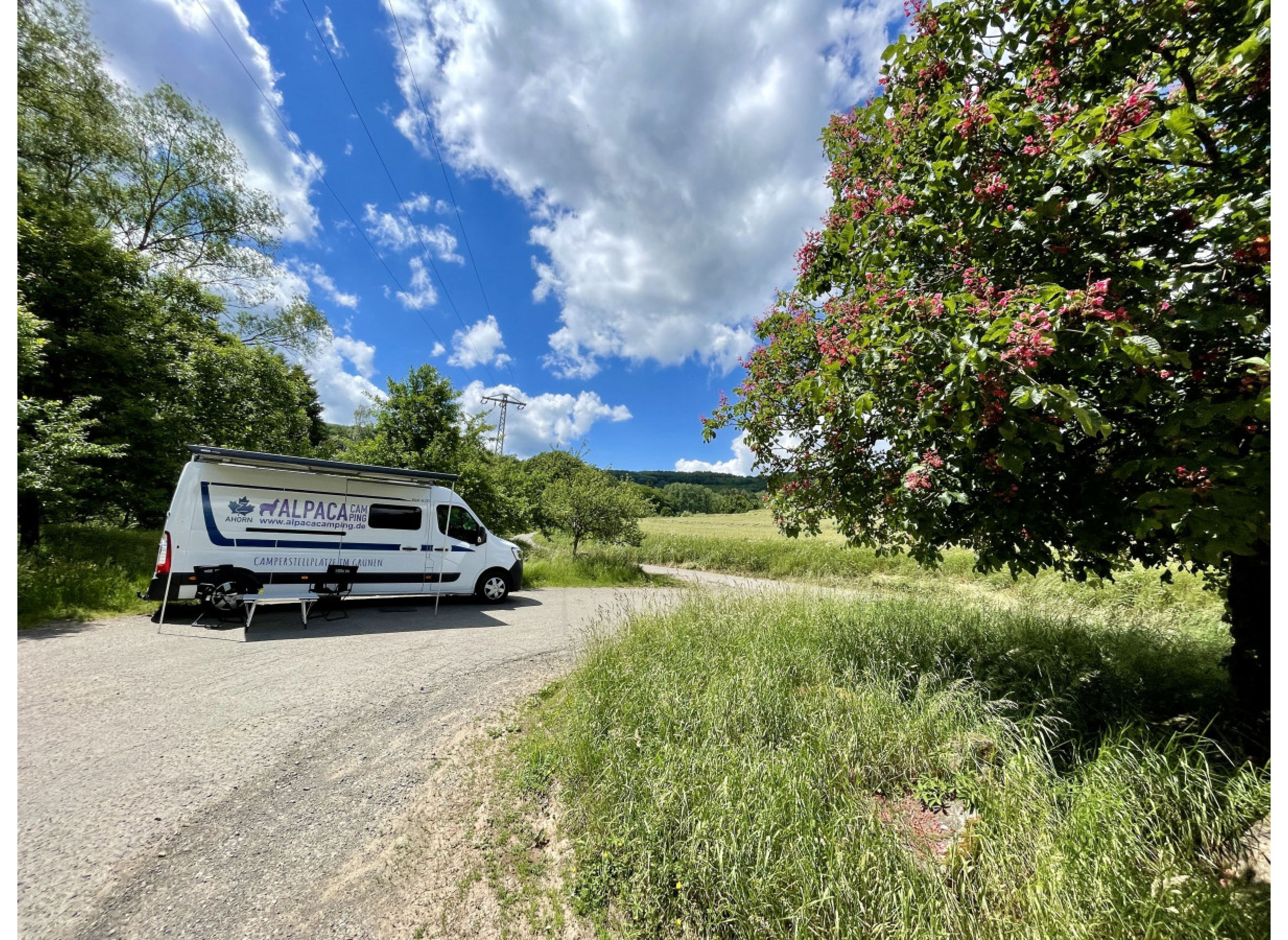 Grünstreifen in Ortsrandlage — Photo 3