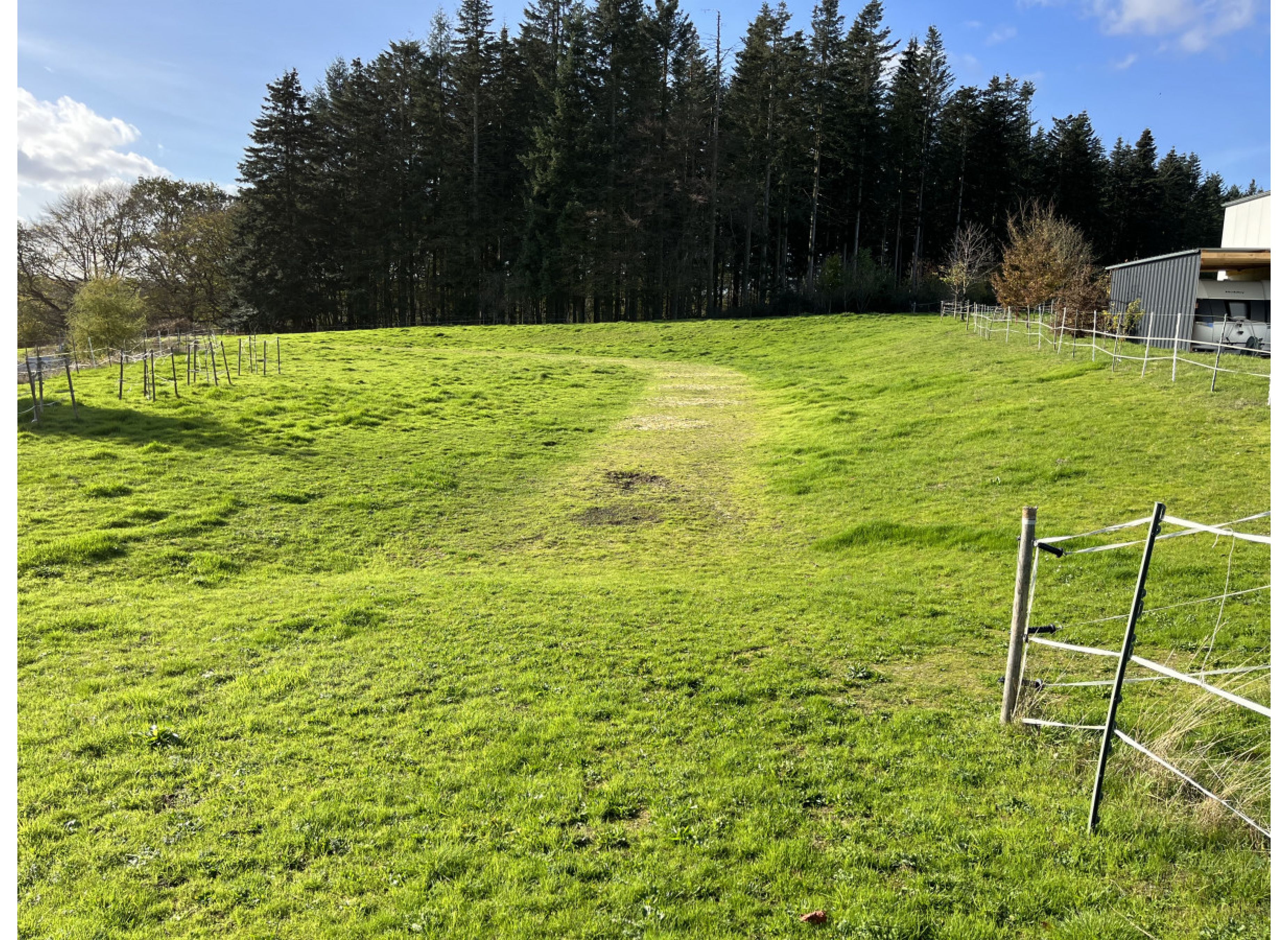 Auf großer Wiese. Wandern im Westerwald, Schlösser und Burgen an Rhein und Mosel #1
