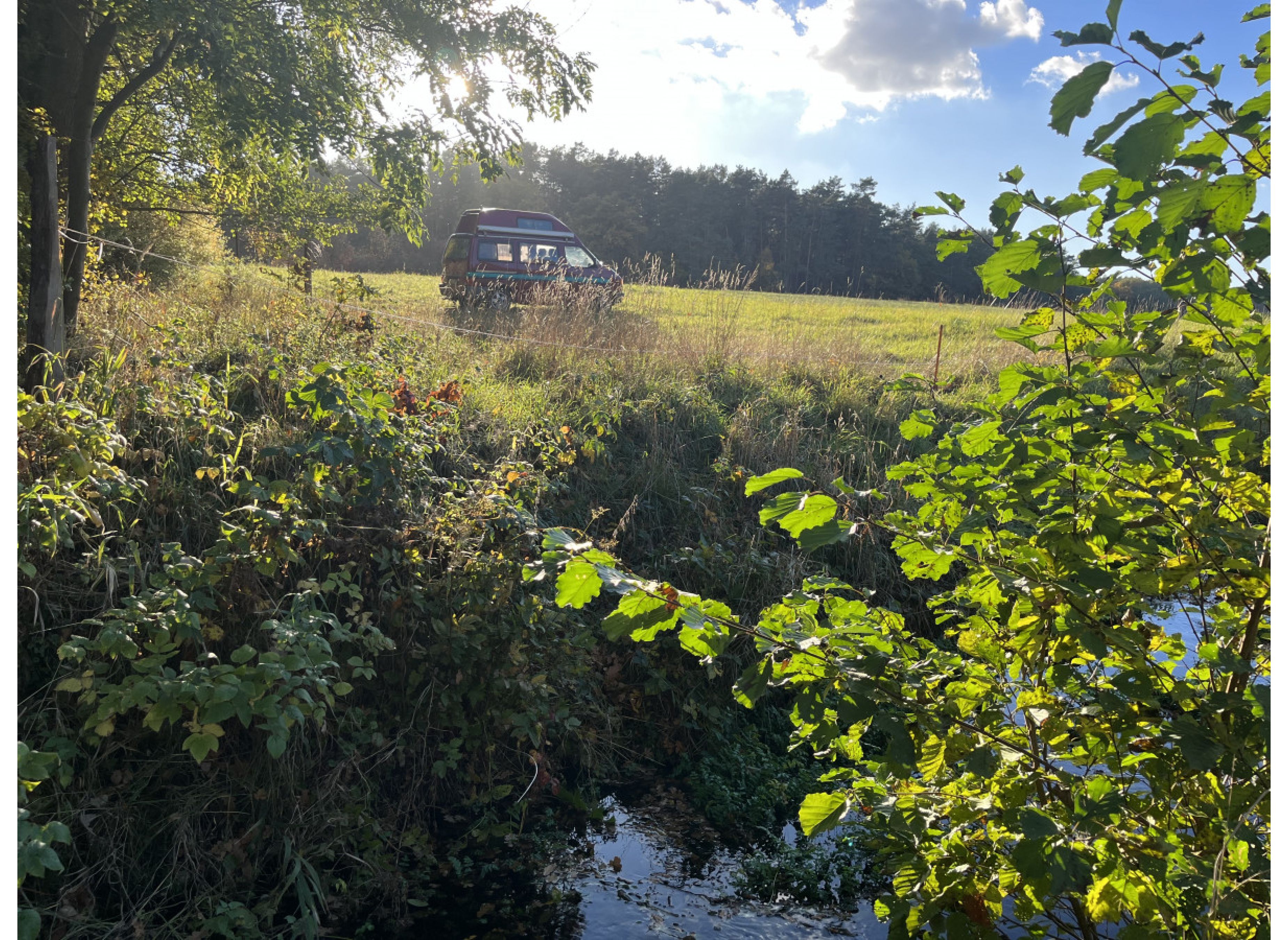 An der Mühle am Mühlenbach