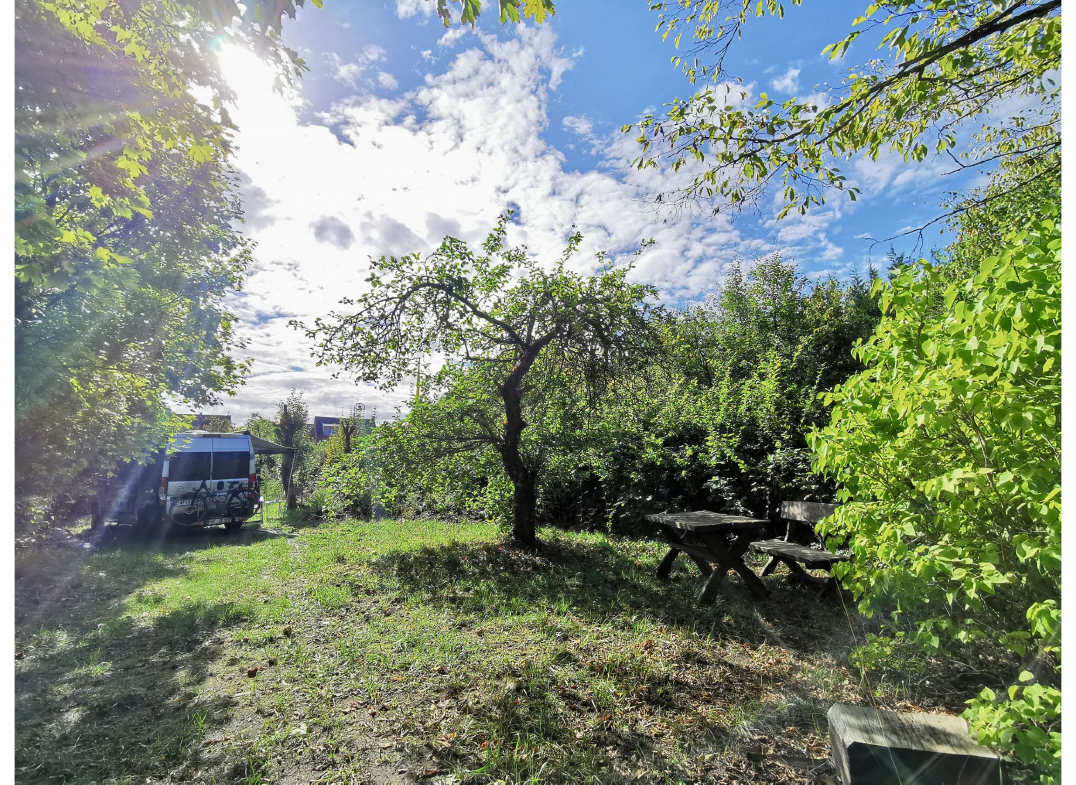 Am Arendsee mit Seezugang für Euch alleine — Photo 3