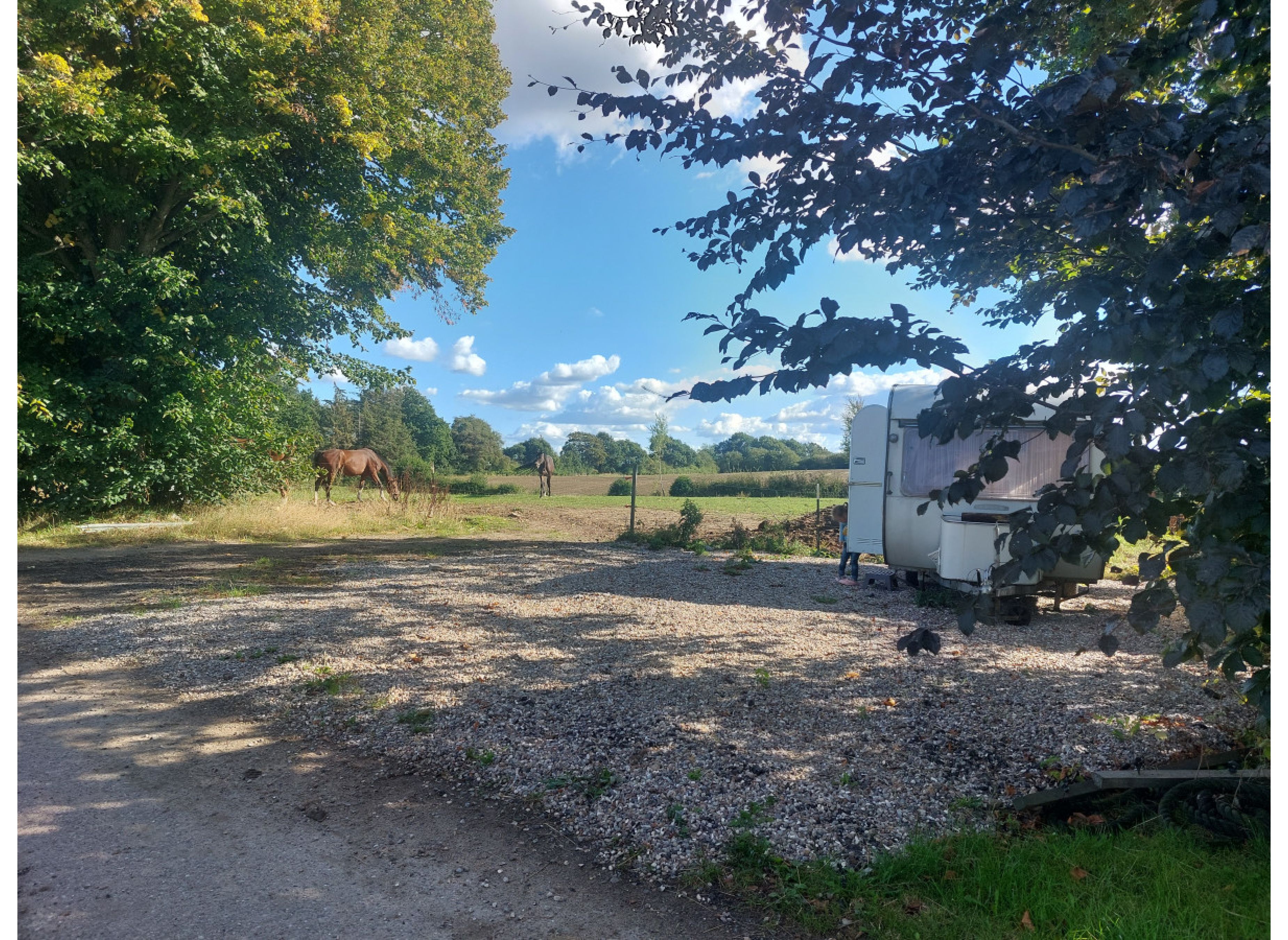 Ruhe mit weitem Wiesenblick — Photo 2