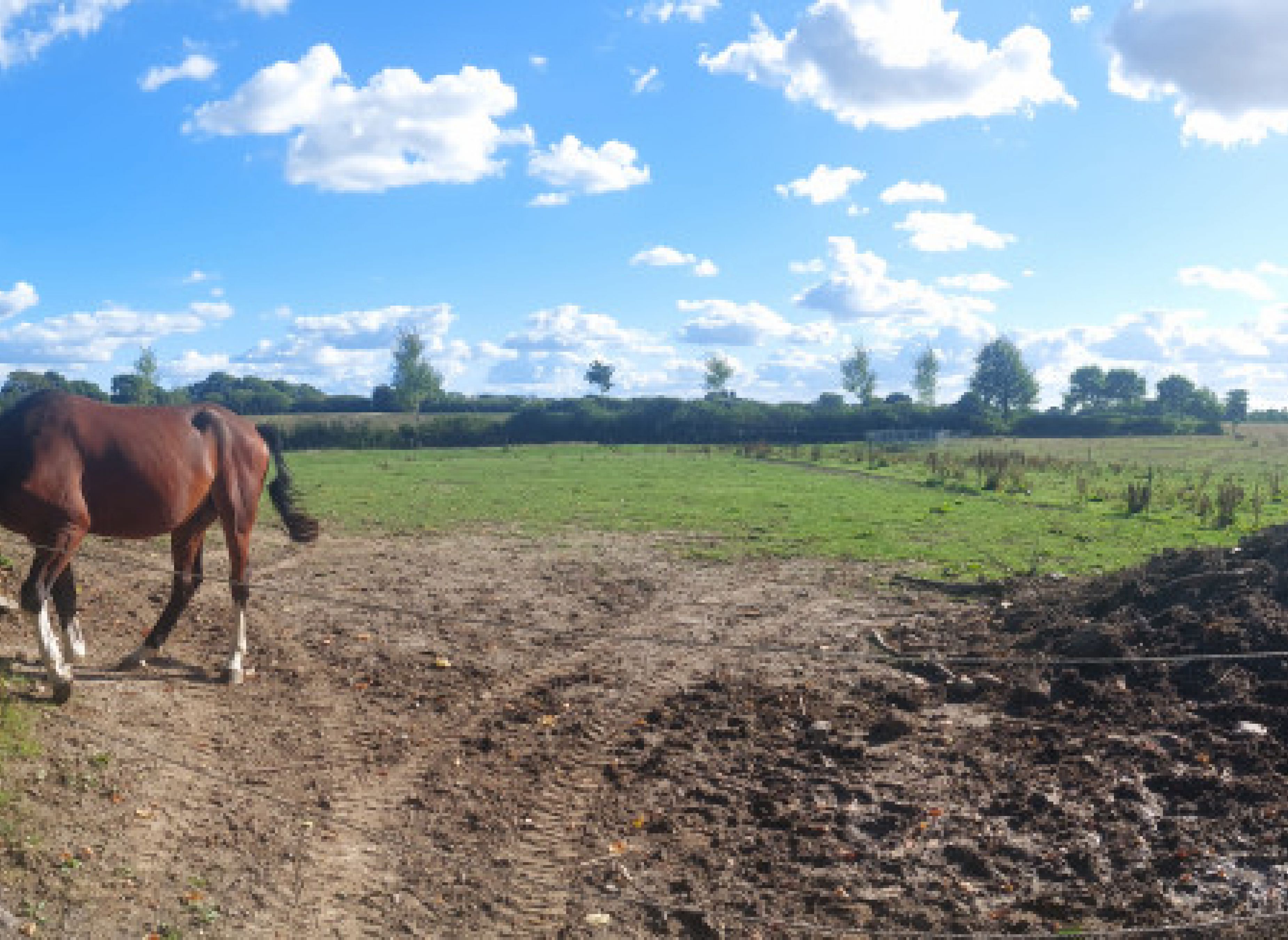 Ruhe mit weitem Wiesenblick — Photo 3