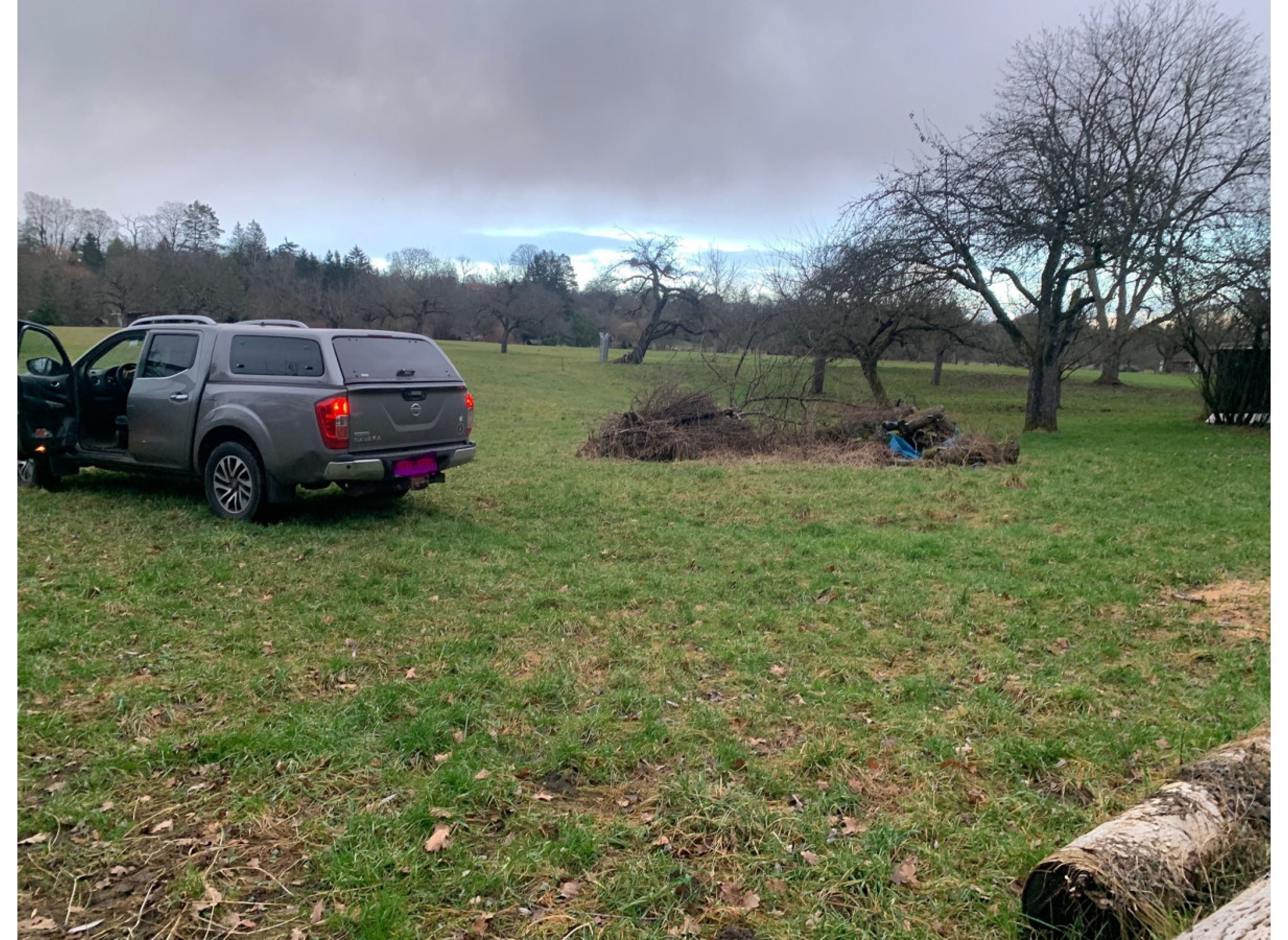 Obstwiese im Breitenbachtal