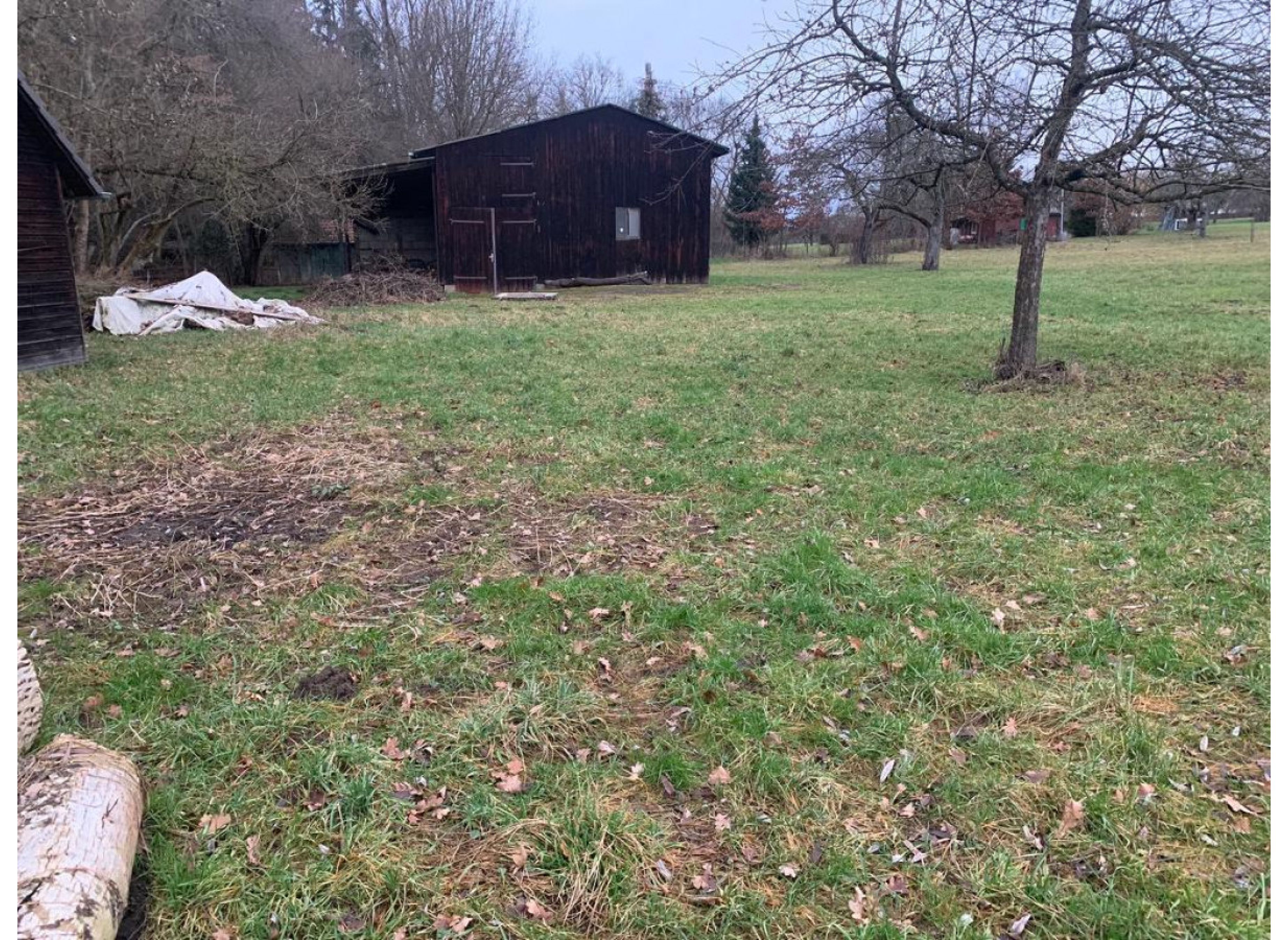 Obstwiese im Breitenbachtal — Photo 2