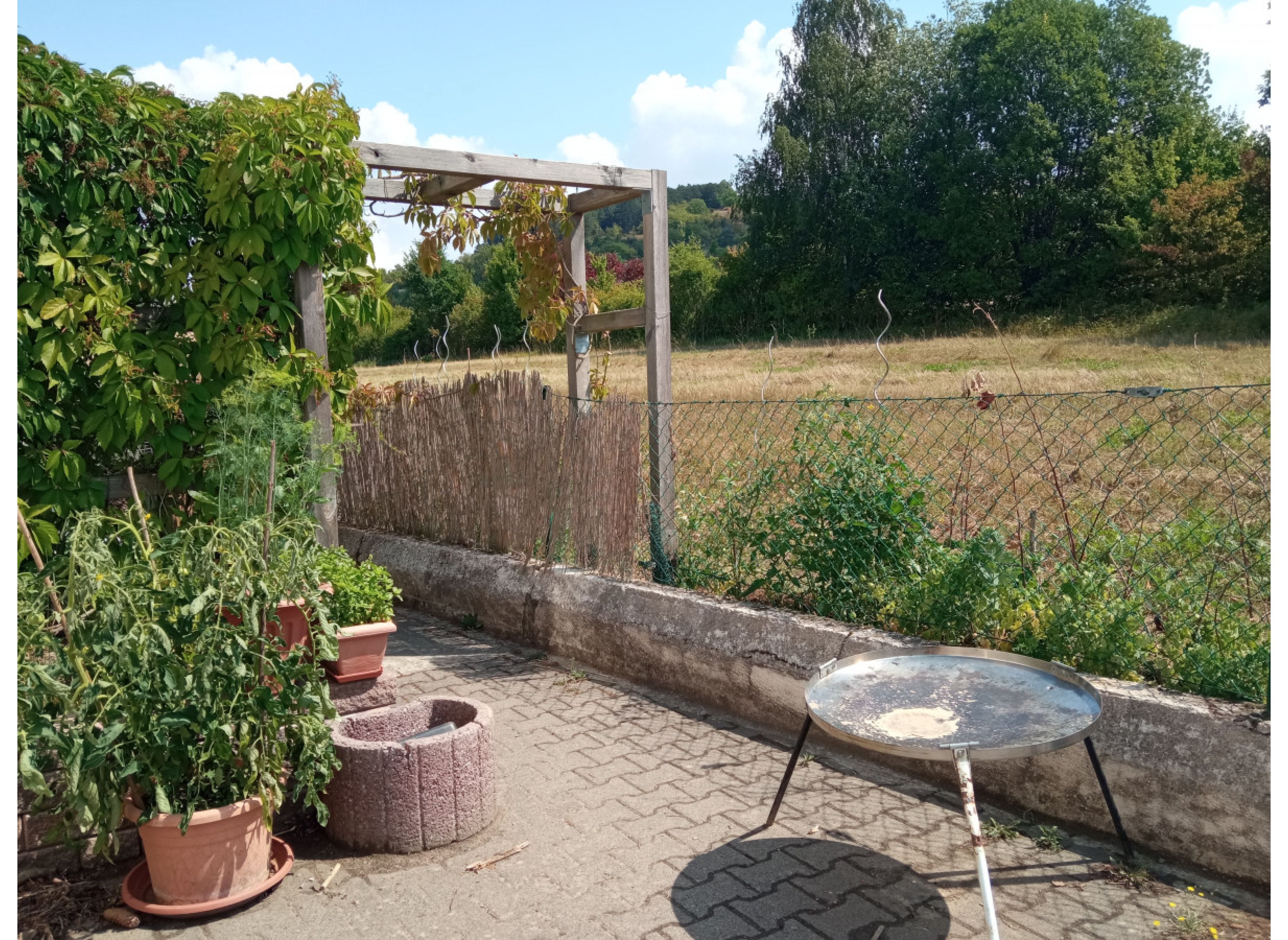 Einzelstellplatz Auge-in-Auge mit Rehwild