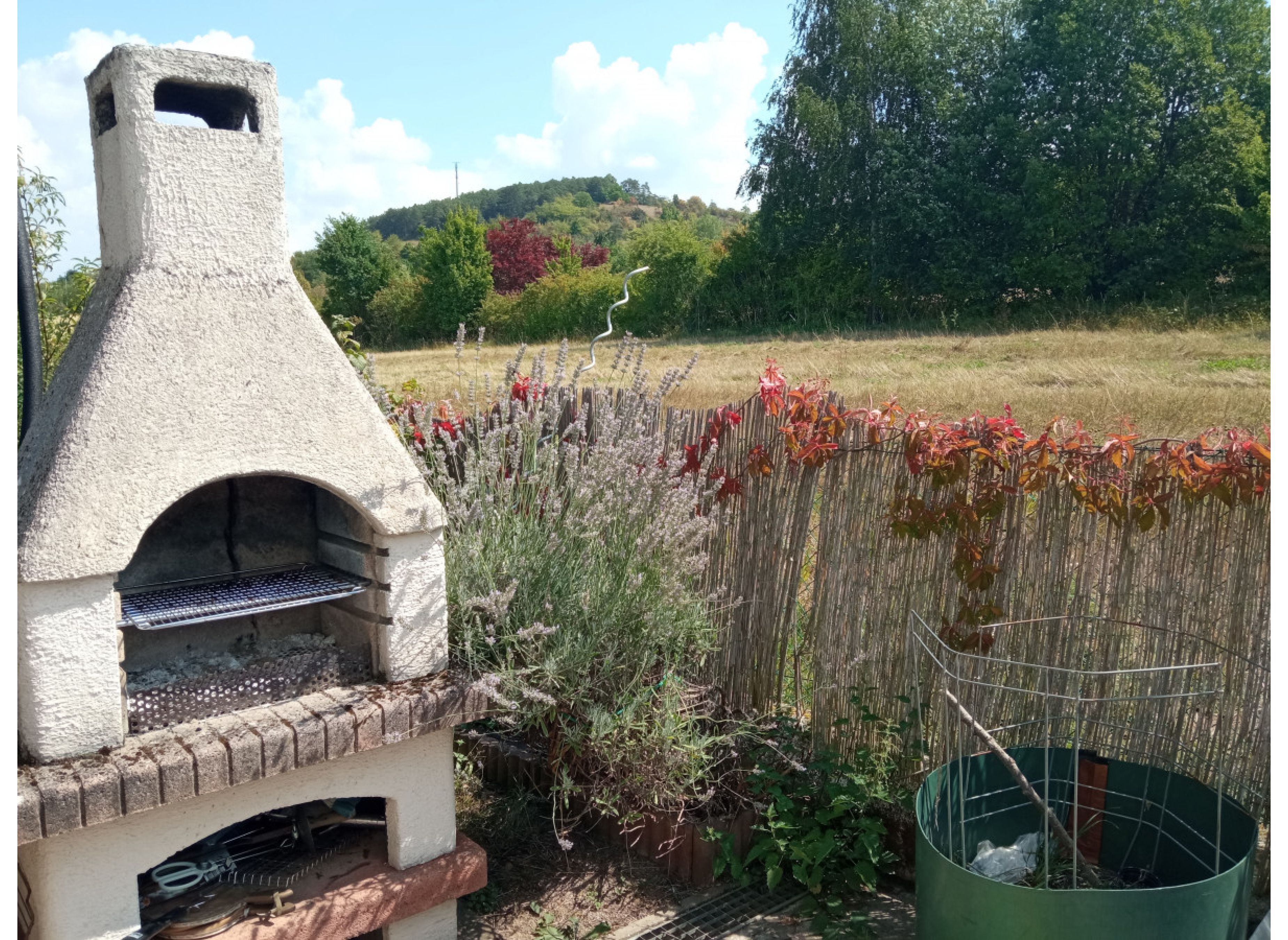 Einzelstellplatz Auge-in-Auge mit Rehwild — Photo 2