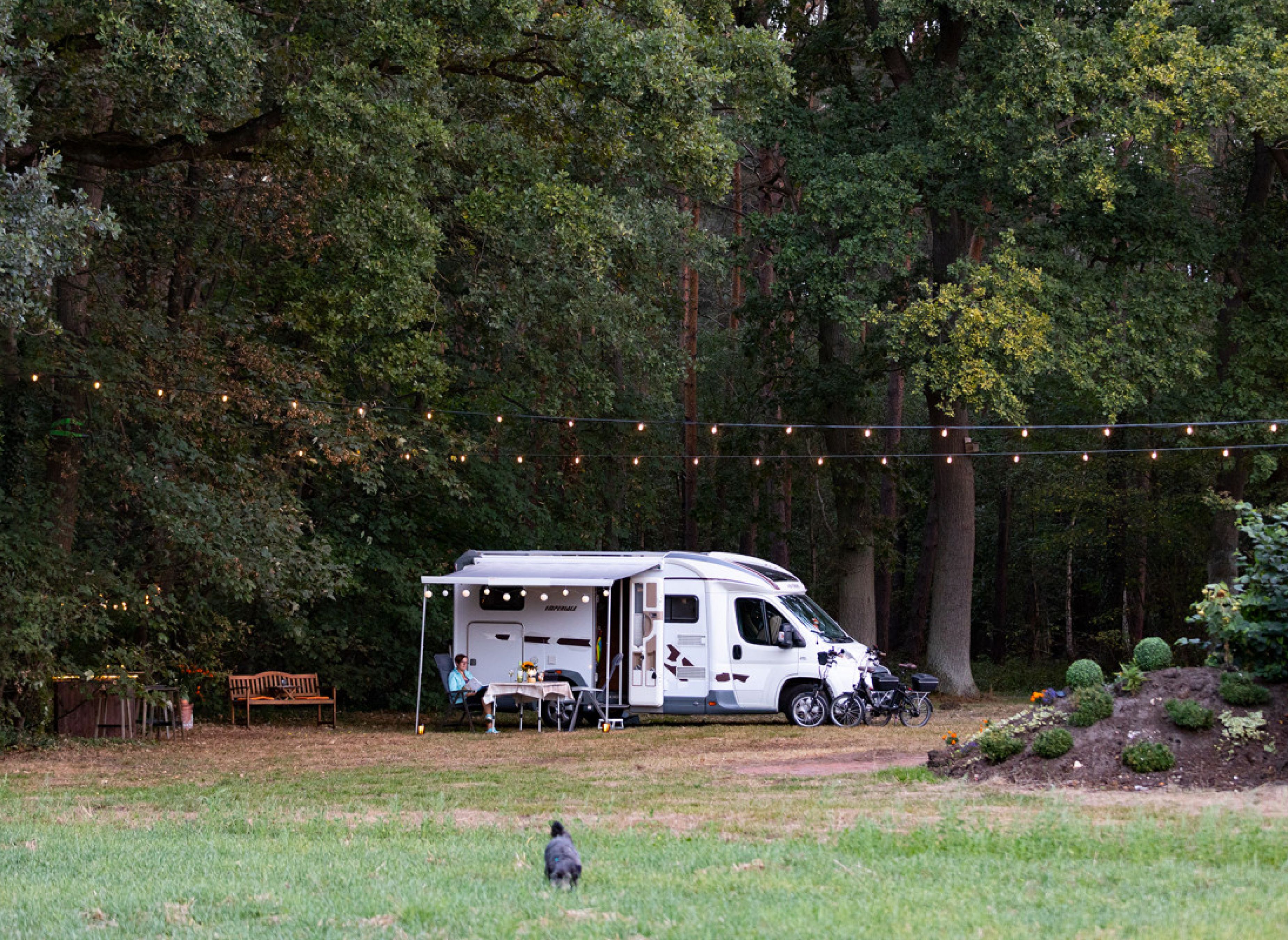 Wo sich Fuchs und Hase Gute Nacht sagen