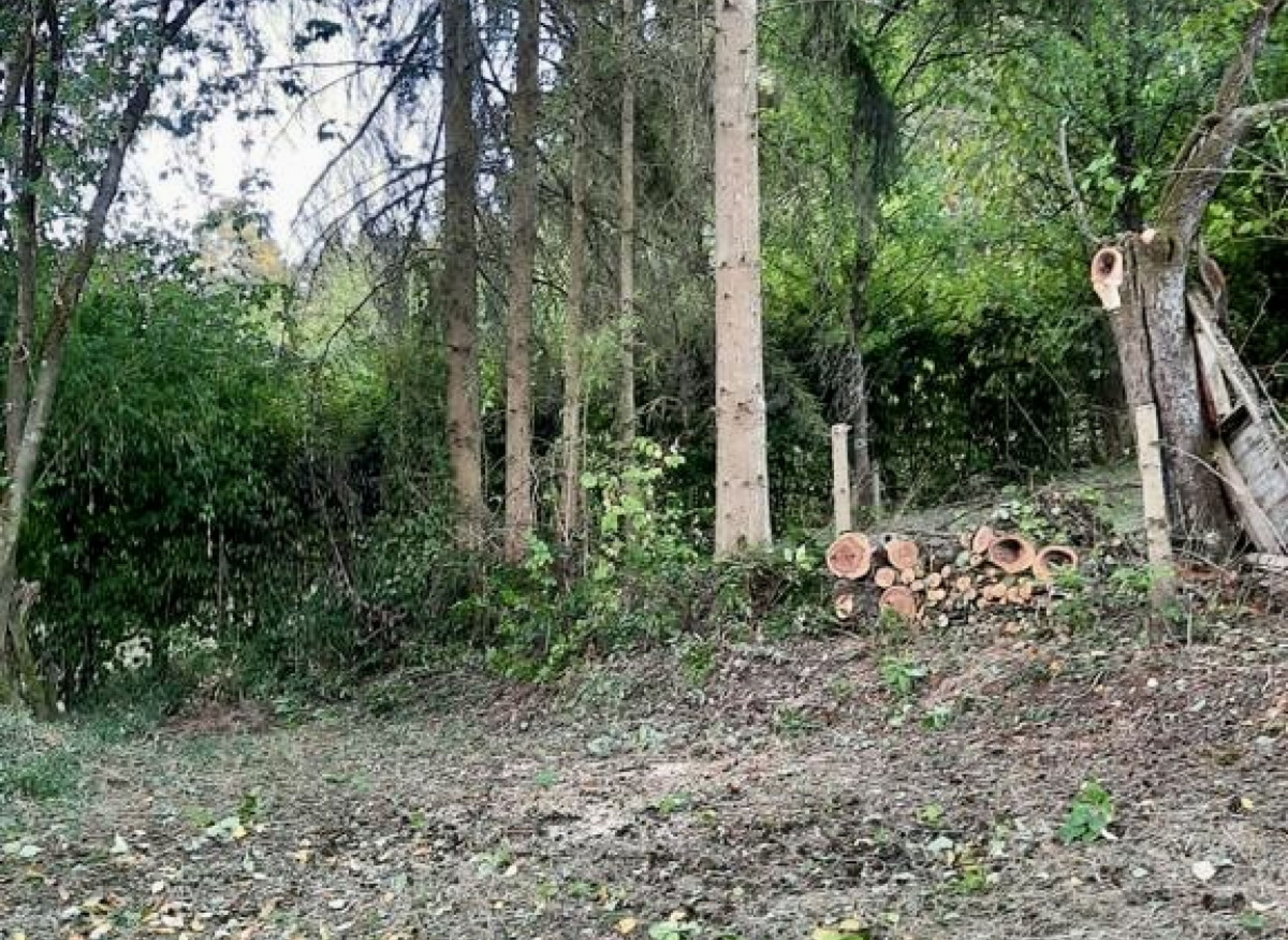 Mit Blick auf die Weinberge